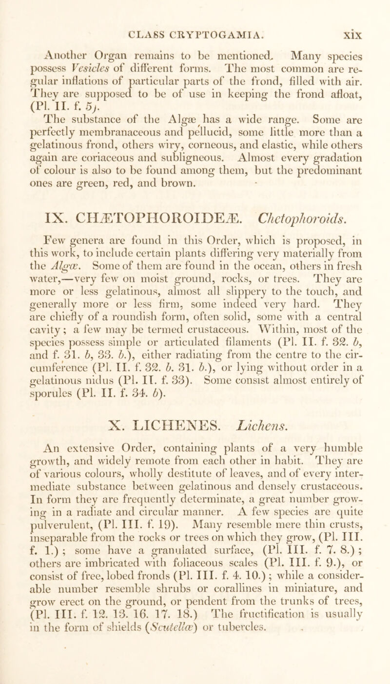 Another Organ remains to be mentioned. Many species possess Vesicles of different forms. The most common are re- gular inflations of particular parts of the frond, filled with air. They are supposed to be of use in keeping the frond afloat, (PI. II. f. 5j. The substance of the Algae has a wide range. Some are perfectly membranaceous and pellucid, some little more than a gelatinous frond, others wiry, corneous, and elastic, while others again are coriaceous and subligneous. Almost every gradation of colour is also to be found among them, but the predominant ones are green, red, and brown. IX. CIGETOPHORQIDELE. Chetophoroids. Few genera are found in this Order, which is proposed, in this work, to include certain plants differing very materially from the Algoe. Some of them are found in the ocean, others in fresh water,—very few on moist ground, rocks, or trees. They are more or less gelatinous, almost all slippery to the touch, and generally more or less firm, some indeed very hard. They are chiefly of a roundish form, often solid, some with a central cavity; a few may be termed crustaceous. Within, most of the species possess simple or articulated filaments (PI. II. f. 82. b, and f. 31. b, 88. b.), either radiating from the centre to the cir- cumference (PI. II. f. 82. b. 31. b.), or lying without order in a gelatinous nidus (PI. II. f. 33). Some consist almost entirely of sporules (PI. II. f. 34. b). X. IMG HEXES. Lichens. An extensive Order, containing plants of a very humble growth, and widely remote from each other in habit. They are of various colours, wholly destitute of leaves, and of every inter- mediate substance between gelatinous and densely crustaceous. In form they are frequently determinate, a great number grow- ing in a radiate and circular manner. A few species are quite pulverulent, (PI. III. f. 19). Many resemble mere thin crusts, inseparable from the rocks or trees on which they grow, (Pi. III. f. 1.) ; some have a granulated surface, (PI. III. f. 7. 8.) ; others are imbricated with foliaceous scales (PL III. f. 9.), or consist of free, lobed fronds (PI. III. f. 4. 10.) ; while a consider- able number resemble shrubs or corallines in miniature, and grow erect on the ground, or pendent from the trunks of trees, (PI. III. f. 12. 13. 16. 17. 18.) The fructification is usually in the form of shields (Scutellce) or tubercles.