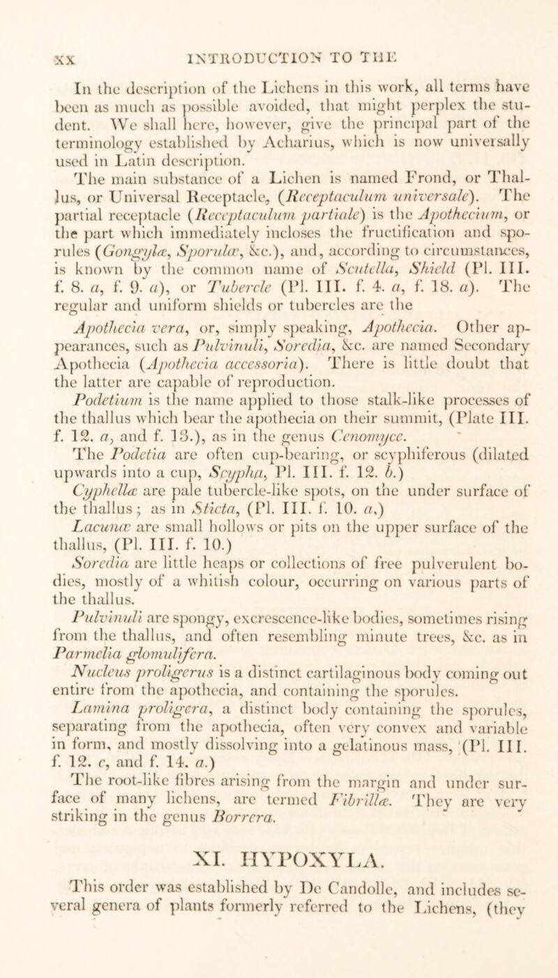 In the description of the Lichens in this work, all terms have been as much as possible avoided, that might perplex the stu- dent. We shall here, however, give the principal part of the terminology established by Acharius, which is now universally used in Latin description. The main substance of a Lichen is named Frond, or Thal- lus, or Universal Receptacle, (Rcceptaculum universale). The partial receptacle (Reccptaculum partiale) is the Apotheeiinn, or the part which immediately incloses the fructification and spo- rules (Gongyla, Sporuhr, £ce.), and, according to circumstances, is known by the common name of Scutella, Shield (PL III. f. 8. a, f. 9- a), or Tubercle (PI. III. f. 4. «, f. 18. a). The regular and uniform shields or tubercles are the Apothccia vera, or, simply speaking, Apothccia. Other ap- pearances, such as Pulvinuli, Soredia, kc. are named Secondary Apothccia (Apothccia accessoria). There is little doubt that the latter are capable of reproduction. Podetium is the name applied to those stalk-like processes of the thallus which bear the apothecia on their summit, (Plate III. f. 12. a, and f. 13.), as in the genus Cenomyce. The Podetia are often cup-bearing, or scyphiferous (dilated upwards into a cup, Scypha, PL IIP f. 12. b.) Cyphellec are pale tubercle-like spots, on the under surface of the thallus ; as in Sticta, (PL III. f. 10. ad) Lacunae are small hollows or pits on the upper surface of the thallus, (PL III. f. 10.) Soredia are little heaps or collections of free pulverulent bo- dies, mostly of a whitish colour, occurring on various parts of the thallus. Pulvinuli are spongy, excrescence-like bodies, sometimes rising from the thallus, and often resembling minute trees, &c. as in Pa rmelia glom ali/era. Nucleus proligerus is a distinct cartilaginous body coming out entire from the apothecia, and containing the sporules. Lamina proligera, a distinct body containing the sporules, separating from the apothecia, often very convex and variable in form, and mostly dissolving into a gelatinous mass, (PL III. f. 12. c, and f. 14. a.) The root-like fibres arising from the margin and under sur- face of many lichens, are termed FibrilU. They are very striking in the genus Borrcra. XI. HYPOXYLA. This order was established by De Candolle, and includes se- veral genera of plants formerly referred to the Lichens, (they