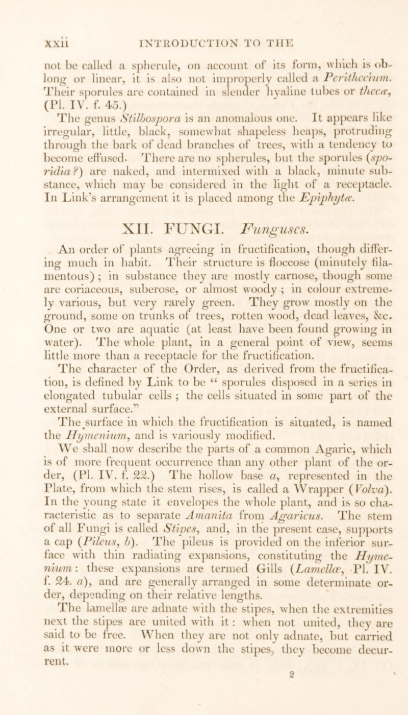 not be called a spherule, on account of its form, which is ob- long or linear, it is also not improperly called a Perxthccium. Their sporules are contained in slender hyaline tubes or theca*, (PI. IV. f. 45.) The genus Stilhospora is an anomalous one. It appears like irregular, little, black, somewhat shapeless heaps, protruding through the bark of dead branches of trees, with a tendency to become effused. There are no spherules, but the sporules (spo- ridia ?) are naked, and intermixed with a black, minute sub- stance, which may be considered in the light of a receptacle. In Link's arrangement it is placed among the Epiphyte. XII. FUNGI. Funguses. An order of plants agreeing in fructification, though differ- ing much in habit. Their structure is fioccose (minutely fila- mentous) ; in substance they are mostly carnose, though some are coriaceous, suberose, or almost woody ; in colour extreme- ly various, but very rarely green. They grow mostly on the ground, some on trunks of trees, rotten wood, dead leaves, See. One or two are aquatic (at least have been found growing in water). The whole plant, in a general point of view, seems little more than a receptacle for the fructification. The character of the Order, as derived from the fructifica- tion, is defined by Link to be “ sporules disposed in a series in elongated tubular cells ; the cells situated in some part of the external surface/1 The surface in which the fructification is situated, is named the Hymenium, and is variously modified. We shall now describe the parts of a common Agaric, which is of more frequent occurrence than any other plant of the or- der, (PI. IV. f. 22.) The hollow base a, represented in the Plate, from which the stem rises, is called a Wrapper (Volva). In the young state it envelopes the whole plant, and is so cha- racteristic as to separate Amanita from Agaricus. The stem of all Fungi is called Stipes, and, in the present case, supports a cap (Pileus, h). The pileus is provided on the inferior sur- face with thin radiating expansions, constituting the Ihjmc- nium: these expansions are termed Gills (Lamellae, PI. IV. f. 24. a), and are generally arranged in some determinate or- der, depending on their relative lengths. The lamellae arc adnate with the stipes, when the extremities next the stipes are united with it: when not united, they are said to be free. When they are not only adnate, but carried as it were more or less down the stipes, they become decur- rent. 2