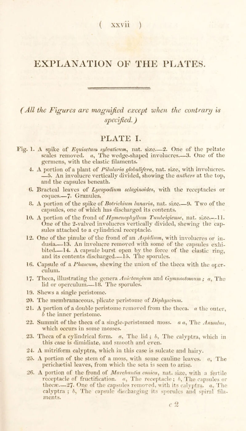 EXPLANATION OF THE PLATES. (AU the Figures are magnified except when the contrary is specified.) PLATE I. Fig. 1. A spike of Equisetum sylvaticum, nat. size—2. One of the peltate scales removed. «, The wedge-shaped involucres—3. One of the germens, with the elastic filaments. 4. A portion of a plant of Pilularia ylobulifera, nat. size, with involucres. —5. An involucre vertically divided, showing the anthers at the top, and the capsules beneath. 6. Bracteal leaves of Lycopodium selayinoides, with the receptacles or coques—7- Granules. 8. A portion of the spike of Botrichium lunana, nat. size—9. Two of the capsules, one of which has discharged its contents. 10. A portion of the frond of Hymeriophyllum Tunhrigiense, nat. size.—11. One of the 2-valved involucres vertically divided, shewing the cap- sules attached to a cylindrical receptacle. 12. One of the pinulse of the frond of an Aspidium, with involucres or in- dusia—13. An involucre removed with some of the capsules exhi- bited—14. A capsule burst open by the force of the elastic ring, and its contents discharged—15. The sporules. 16. Capsule of a Phascum, shewing the union of the theca with the oper- culum. 17. Theca, illustrating the genera Amctanyium and Gymnostomum; a, The lid or operculum—18. The sporules. 19. Shews a single peristome. 20. The membranaceous, plicate peristome of Dlphyscium. 21. A portion of a double peristome removed from the theca, a the outer, b the inner peristome. 22. Summit of the theca of a single-peristomed moss, a a, The Annulus, which occurs in some mosses. 23. Theca of a cylindrical form, #, The lid ; b, The calyptra, which in this case is dimidiate, and smooth and even. 24. A mitriform calyptra, which in this case is sulcate and hairy. 25. A portion of the stem of a moss, with some cauline leaves, The perichsetial leaves, from which the seta is seen to arise. 26. A portion of the frond of Marchantia cornea, nat. size, with a fertile receptacle of fructification, r/, The receptacle; /?, The capsules or thecae—27- One of the capsules removed, with its calyptra. a, The calyptra ; b, The capsule discharging its sporules and spiral fila- ments.
