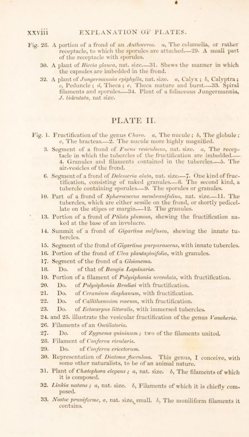 * XXviii EXPLANATION OF PLATES. Fig. 20. A portion of a frond of an Anthocervs. a, The columella, or rather receptacle, to which the sporules are attached—2'J. A small part of the receptacle with sporules. 30. A plant of Iticcia glauca, nat. size—31. Shews the manner in which the capsules are imbedded in the frond. 32. A plant of Junyermannia epiphylla, nat. size. </, Calyx ; 4, Calvptra ; c, Peduncle ; ei, Theca ; c, Theca mature and burst—33. Spiral filaments and sporules.—34. Plant of a foliaceous J ungermannia, J. bhlcntata, nat size. PLATE II. Fig. 1. Fructification of the genus Chara. a, The nucule ; 4, The globule ; c. The bracteas 2. The nucule more highly magnified. 3. Segment of a frond of Funi* vesirulosus, nat. size. a, The recep- tacle in which the tubercles of the fructification are imbedded— 4. Granules and filaments contained in the tubercles—5. The air-vesicles of the frond. 6*. Segment of a frond of Delesseria alata, nat. size—7- One kind of fruc- tification, consisting of naked granules—8. The second kind, a tubercle containing sporules—9. The sporules or granules. 10. Part of a frond of Spluerocoecus membranifulius, nat. size—11. The tubercles, which are either sessile on the frond, or shortly pedicel- late on the stipes or margin—12. The granules. 13. Portion of a frond of Ptilota plumosa, shewing the fructification na- ked at the base of an involucre. 14. Summit of a frond of Giyartina subfusca, shewing the innate tu- bercles. 15. 10. 17- 18. 19. 20. 21. oo a. M • 23. 24. 20. Segment of the frond of Giyartina purpurasccns, with innate tubercles. Portion of the frond of Ulva plantayinifolia, with granules. Segment of the frond of a Gloionema. Do. of that of Bangia Lapiinarue. Portion of a filament of Polysiphonia urceolata, with fructification. Do. of Polysiphonia Brodiaei with fructification. Do. of Ceramium diaphanum, with fructification. Do. of Callithamnion roseum, with fructification. Do. of Eclocarpus littoralis, with immersed tubercles, and 25. illustrate the vesicular fructification of the genus Vauchcria. Filaments of an Oscillatoria. 27- Do. of Zygnema quininum ; two of the filaments united. 28. Filament of Conferva rivularis. 29. Do. of Conferva cricclorum. 30. Representation of Dialoma flocculosa. This genus, I conceive, with some other naturalists, to be of an animal nature. 31. Plant of Chcetophora clegans ; a, nat. size. 4, The filaments of which it is composed. 32. IAnkia natans ; a, nat. size. 4, Filaments of which it is chiefly com- posed. 33. A ostoc pruniforme, o, nat. size, small. 4, The moniliform filaments it contains.