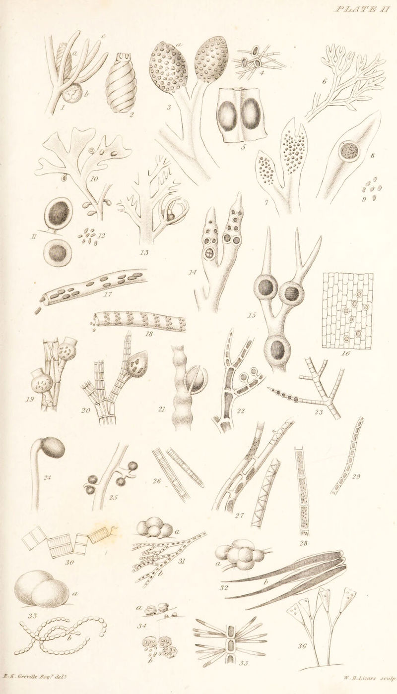 PJjJITJs! JZ A'. Grmflf tfsq.rdrIt W■ fl.J.uors scu/fr