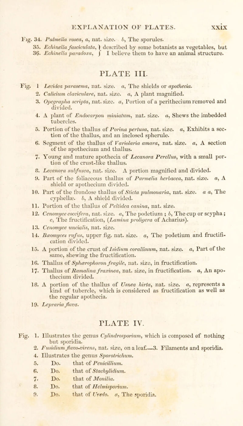 . 34. Pulmella rosea, a, nat. size. 5, The sporules. 35. Echinella fasciculata, ) described by some botanists as vegetables, but 36. Echinella paradoxa, / I believe them to have an animal structure. PLATE III. 1 Lecidea parasema, nat. size, a, The shields or apothecia. 2. Calicium claviculare, nat. size, a, A plant magnified. 3. Opegrapha scripta, nat. size, a, Portion of a perithecium removed and divided. 4. A plant of Endocarpon miniatum, nat. size, a, Shews the imbedded tubercles. 5. Portion of the thallus of Porina pertusa, nat. size, a, Exhibits a sec- tion of the thallus, and an inclosed spherule. 6. Segment of the thallus of Variolaria amara, nat. size, a, A section of the apothecium and thallus. 7. Young and mature apothecia of Lecanora Perellus, with a small por- tion of the crust-like thallus. 8. Lecanora subfnsca, nat. size. A portion magnified and divided. 3. Part of the foliaceous thallus of Parmelia herbacea, nat. size, a, A shield or apothecium divided. 10. Part of the frondose thallus of Sticta pulmonaria, nat. size, a a, The cyphellse. &, A shield divided. 11. Portion of the thallus of Peltidea canina, nat. size. 12. Cenomyce coccifera, nat. size. «, The podetium ; 6, The cup or scypha; c, The fructification, {Lamina proliyera of Acharius). 13. Cenomyce uncialis, nat. size. 14. Bceomyces rvfas, upper fig. nat. size, a, The podetium and fructifi- cation divided. 15. A portion of the crust of Isidium corallinum, nat. size, a, Part of the same, shewing the fructification. 1G. Thallus of Splicerophoron fragile, nat. size, in fructification. 17* Thallus of Ramalina fraxinea, nat. size, in fructification, a, An apo- thecium divided. 18. A portion of the thallus of Usnea hirta, nat. size. «, represents a kind of tubercle, which is considered as fructification as well as the regular apothecia. 19- Lepraria Jlava. ELATE IV. 1. Illustrates the genus Cylindrosporium, which is composed of nothing but sporidia. 2. Fusidium Jlavo~virens, nat. size, on a leaf.—3. Filaments and sporidia. 4. Illustrates the genus Sporotrichum. 5. Do. that of Penicillium. 6. Do. that of Stachylidium. 7* Do. that of Monilia. 8. Do. that of Helmisporium. 9. Do. that of Uredo. a, The