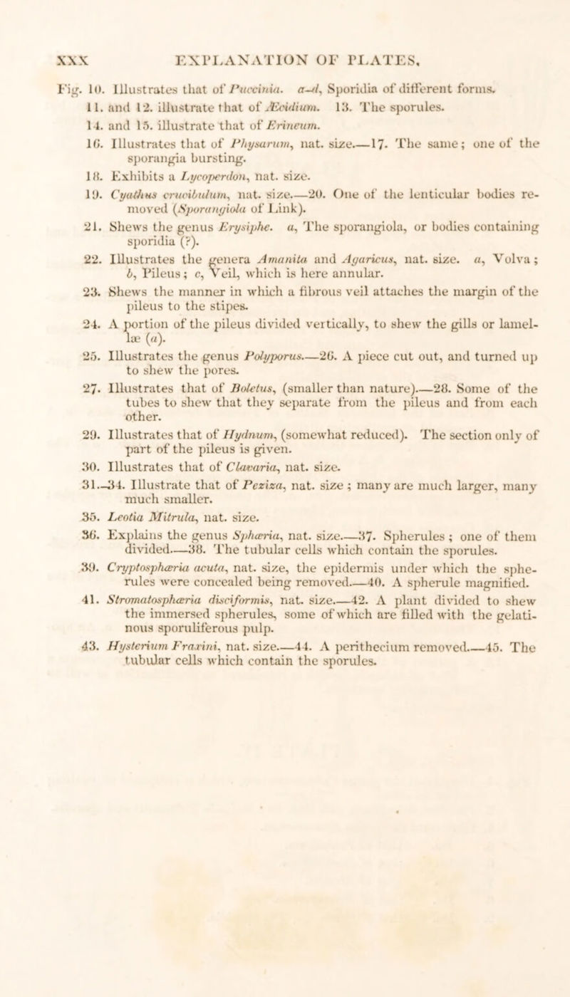 Fig. 10. Illustrates that of Pttccinui. a~>l, Sporidia of different forms, il. and 12. Illustrate that of Mcidiunu LI. The sporules. 14. and 15. illustrate that of Erineum. 1G. Illustrates that of Phymrum, nut. size—17- The same; one of the sporangia bursting. IK. Exhibits a Lycopenlon, nat. size. 10. Cyaihhs crvoifstiJutn, nat. size—20. One of the lenticular bodies re- moved (Sporanyiola of Link). 21. Shews the genus Erysiphe. u, The sporangiola, or bodies containing sporidia (?). 22. Illustrates the genera Amanita and Ayaricus, nat. size. a, Volva; b, Pileus; c, Veil, which is here annular. 23. Shews the manner in which a fibrous veil attaches the margin of the pileus to the stipes. 24. A portion of the pileus divided vertically, to shew the gills or lamel- la? (a). 25. Illustrates the genus Pdyporus—2G. A piece cut out, and turned up to shew the pores. 27. Illustrates that of Boletus, (smaller than nature)—28. Some of the tubes to shew that they separate from the pileus and from each other. 29. Illustrates that of Ilydnum, (somewhat reduced). The section only of part of the pileus is given. 30. Illustrates that of Clavaria, nat. size. 31. -34. Illustrate that of Peziza, nat. size; many are much larger, many much smaller. 35. Leotia Mitrula:, nat. size. 3G. Explains the genus Sphceria, nat. size—37. Spherules ; one of them divided—38. The tubular cells which contain the sporules. 39. Cryptosphceria acuta, nat. size, the epidermis under which the sphe- rules were concealed being removed—40. A spherule magnified. 41. Stromatosplucria disciformix, nat. size 42. A plant divided to shew the immersed spherules, some of which are filled with the gelati- nous sporuliferous pulp. 43. Hysteriam Fraa'i/ti, nat. size 14. A perithecium removed 45. The tubular cells which contain the sporules.