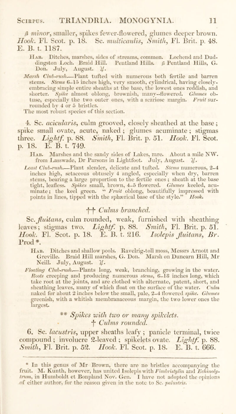 /3 minor, smaller, spikes fewer-flowered, glumes deeper brown. Hook. FI. Scot. p. 18. Sc. multicaulis, Smith, FI. Brit, p. 48. E. B. t. 1187. IIab. Ditches, marshes, sides of streams, common. Lochend and Dud- dingston Loch. Braid Hill. Pentland Hills. /3 Pentland Hills, G. Don. July, August, 7/. Marsh Club-rush—Plant tufted with numerous both fertile and barren stems. Stems 0-15 inches high, very smooth, cylindrical, having closely- embracing simple entire sheaths at the base, the lowest ones reddish, and shorter. Spike almost oblong, brownish, many-flowered. Glumes ob- tuse, especially the two outer ones, with a scariose margin. Fruit sur- rounded by 4 or 5 bristles. The most robust species of this section. 4. Sc. acicularis, culm grooved, closely sheathed at the base; spike small ovate, acute, naked ; glumes acuminate; stigmas three. Lightf. p. 88. Smith, FI. Brit. p. 51. Hook. FI. Scot, p. 18. E. 13. t. 749. Hab. Marshes and the sandy sides of Lakes, rare. About a mile NW. from Lasswade, Dr Parsons in Lightfoot. July, August. 7/. Least Club-rush—Plant slender, delicate and tufted. Stems numerous, 2-4 inches high, setaceous obtusely 4 angled, especially when dry, barren stems, bearing a large proportion to the fertile ones ; sheath at the base tight, leafless. Spikes small, brown, 4-5 flowered. Glumes keeled, acu- minate ; the keel green. “ Fruit oblong, beautifully impressed with points in lines, tipped with the sphaerical base of the style.” Hook. Culms branched. Sc.Jluitans, culm rounded, weak, furnished with sheathing leaves; stigmas two. Light/, p. 88. Smith, FI. Brit. p. 51. Hook. FI. Scot. p. 18. E. B. t. 216. Isolepis Jluitans, Br. Prod *. Hab. Ditches and shallow pools. Ravelrig-toll moss, Messrs Arnott and Greville. Braid Hill marshes, G. Don. Marsh on Dunearn Hill, Mr Neill. July, August. 7/. Floating Club-rush—Plants long, weak, branching, growing in the water. Roots creeping and producing numerous stems, 0-18 inches long, which take root at the joints, and are clothed with alternate, patent, short, and sheathing leaves, many of which float on the surface of the water. Culm naked for about 2 inches below the small, pale, 2-4 flowered spike. Glumes greenish, with a whitish membranaceous margin, the two lower ones the largest. ** Spikes with two or many spikclets. *j~ Culms rounded. 6. Sc. lacustris, upper sheaths leafy ; panicle terminal, twice compound ; involucre 2-leaved ; spikelets ovate. Lightf p. 88. Smith, FI. Brit. p. 52. Hook. FI. Scot. p. 18. E. B. t. 666. * In this genus of Air Brown, there are no bristles accompanying the fruit. M. Kunth, however, has united Isolepis with Fimbristylin and Echinoly- trum, in Humboldt et Bonpland Nov. Gen. I have not adopted the opinions of either author, for the reason given in the note to Sc- palustris.