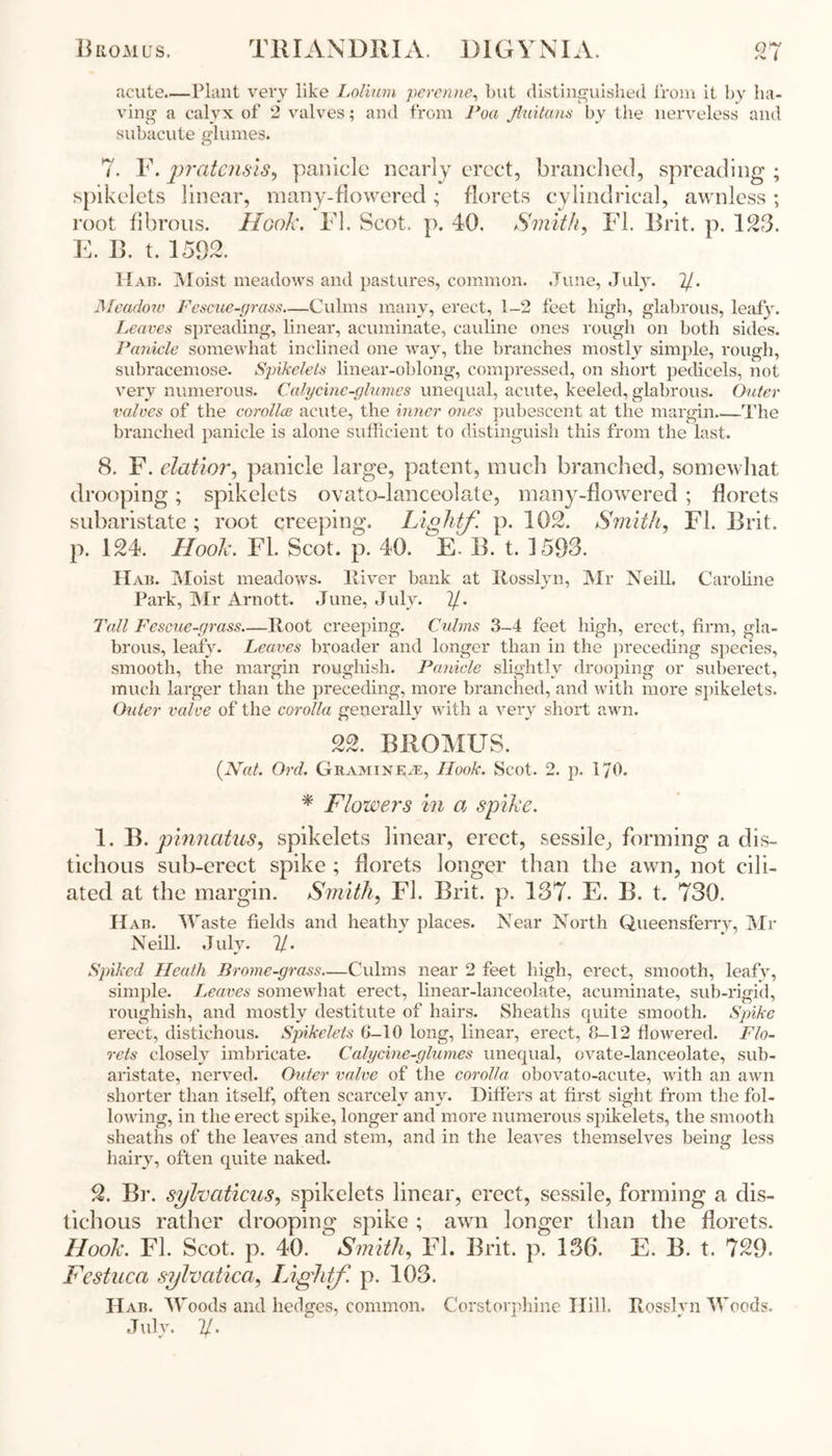 13 ROM US. T RIA N D RIA. 1) IG Y NIA. acute.—Plant very like Lolium perenne, but distinguished from it by ha- ving a calyx of 2 valves; and from Poa fluitans bv the nerveless and subacute glumes. 7. F. pratensis, panicle nearly erect, branched, spreading ; spikelets linear, many-flowered; florets cylindrical, awnless; root fibrous. Hook. FI. Scot. p. 40. Smith, FI. Brit. p. 123. E. B. t. 1592. Hah. Moist meadows and pastures, common. June, July. 2/. Meadow Fescue-grass—Culms many, erect, 1-2 feet high, glabrous, leafy. Leaves spreading, linear, acuminate, cauline ones rough on both sides. Panicle somewhat inclined one way, the branches mostly simple, rough, subracemose. Spikelets linear-oblong, compressed, on short pedicels, not very numerous. Caly cine -glumes unequal, acute, keeled, glabrous. Outer valves of the corollas acute, the inner ones pubescent at the margin The branched panicle is alone sufficient to distinguish this from the last. 8. F. elatior, panicle large, patent, much branched, somewhat drooping; spikelets ovato-lanceolate, many-flowered ; florets subaristate ; root creeping. Lightf. p. 102. Smith, FI. Brit, p. 124. Hook. FI. Scot. p. 40. E. B. t. 1593. Hab. Moist meadows. River bank at Rosslyn, Mr Neill. Caroline Park, Mr Arnott. June, July. 2/. Tall Fescue-grass Root creeping. Culms 3-4 feet high, erect, firm, gla- brous, leafy. Leaves broader and longer than in the preceding species, smooth, the margin roughish. Panicle slightly drooping or suberect, much larger than the preceding, more branched, and with more spikelets. Outer valve of the corolla generally with a very short awn. 22. BROMUS. (Nat. Ord. Gramikr^e, Hook. Scot. 2. p. 170. * Flowers in a spike. 1. B. pinnatus, spikelets linear, erect, sessile, forming a dis- tichous sub-erect spike ; florets longer than the awn, not cili- ated at the margin. Smith, FI. Brit. p. 137. E. B. t. 730. IIab. Waste fields and heathy places. Near North Queensferry, Mr Neill. July. 2/. Spiked Heath Brome-grass—Culms near 2 feet high, erect, smooth, leafy, simple. leaves somewhat erect, linear-lanceolate, acuminate, sub-rigid, roughish, and mostly destitute of hairs. Sheaths quite smooth. Spike erect, distichous. Spikelets 6-10 long, linear, erect, 3-12 flowered. Flo- rets closely imbricate. Calycine-glumes unequal, ovate-lanceolate, sub- aristate, nerved. Outer valve of the corolla obovato-acute, with an awn shorter than itself, often scarcely any. Differs at first sight from the fol- lowing, in the erect spike, longer and more numerous spikelets, the smooth sheaths of the leaves and stem, and in the leaves themselves being less hairy, often quite naked. 2. Br. sylvaticus, spikelets linear, erect, sessile, forming a dis- tichous rather drooping spike ; awn longer than the florets. Hook. FI. Scot. p. 40. Smith, FI. Brit. p. 136. E. B. t. 729. Festuca sylvatica, Lightf. p. 103. H ab. Woods and hedges, common. Corstorphine Hill. Rosslyn Woods. July. I/.