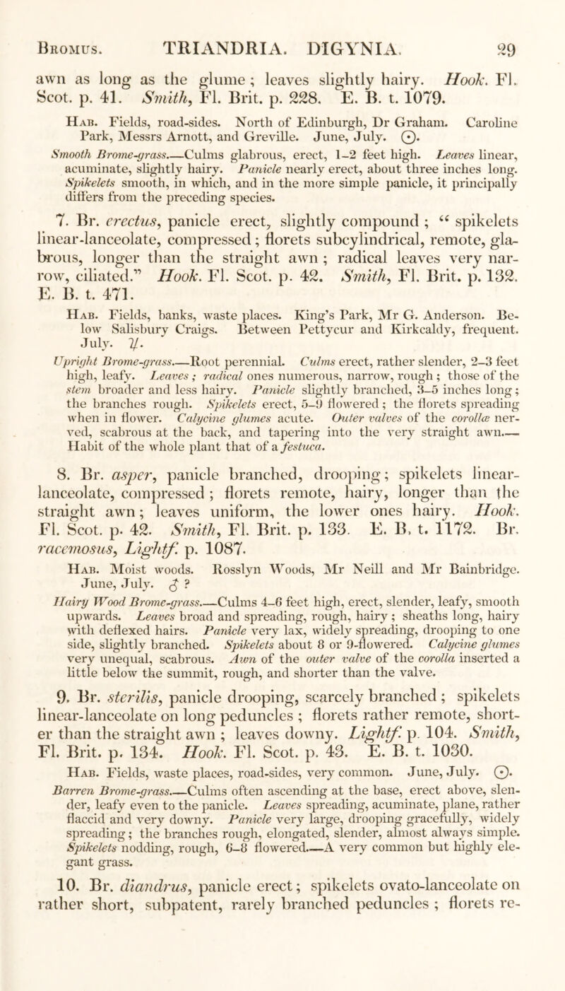 awn as long as the glume ; leaves slightly hairy. Hook. FI. Scot. p. 41. Smith., FI. Brit. p. 228. E. B. t. 1079. Hab. Fields, road-sides. North of Edinburgh, Dr Graham. Caroline Park, Messrs Arnott, and Greville. June, July. 0. Smooth Brome-grass—Culms glabrous, erect, 1-2 feet high. Leaves linear, acuminate, slightly hairy. Panicle nearly erect, about three inches long. Spikelets smooth, in which, and in the more simple panicle, it principally differs from the preceding species. 7. Br. e-rectus, panicle erect, slightly compound ; 66 spikelets linear-lanceolate, compressed; florets subcylindrical, remote, gla- brous, longer than the straight awn ; radical leaves very nar- row, ciliated.” Hook. FI. Scot. p. 42. Smith, FI. Brit. p. 132. E. B. t. 471. Hab. Fields, banks, waste places. King’s Park, Mr G. Anderson. Be- low Salisbury Craigs. Between Pettycur and Kirkcaldy, frequent. July. 7/. Upright Brome-grass—Boot perennial. Culms erect, rather slender, 2-3 feet high, leafy. Leaves ; radical ones numerous, narrow, rough ; those of the stem broader and less hairy. Panicle slightly branched, 3-5 inches long; the branches rough. Spikelets erect, 5-9 flowered; the florets spreading when in flower. Calycine glumes acute. Outer valves of the corolla; ner- ved, scabrous at the back, and tapering into the very straight awn— Habit of the whole plant that of a festuca. 8. Br. asper, panicle branched, drooping; spikelets linear- lanceolate, compressed ; florets remote, hairy, longer than the straight awn; leaves uniform, the lower ones hairy. Hook. El. Scot. p. 42. Smith, FI. Brit. p. 133. E. B. t. 1172. Br. racemosus, Lightf. p. 1087. Hab. Moist woods. Rosslyn Woods, Mr Neill and Mr Bainbridge. June, July. £ ? Hairy Wood Brome-grass Culms 4-0 feet high, erect, slender, leafy, smooth upwards. Leaves broad and spreading, rough, hairy ; sheaths long, hairy with deflexed hairs. Panicle very lax, widely spreading, drooping to one side, slightly branched. Spikelets about 8 or 9-flowered. Calycine glumes very unequal, scabrous. Awn of the outer valve of the corolla inserted a little below the summit, rough, and shorter than the valve. 9. Br. sterilis, panicle drooping, scarcely branched ; spikelets linear-lanceolate on long peduncles ; florets rather remote, short- er than the straight awn ; leaves downy. Liglitf. p. 104. Smith, FI. Brit. p. 134. Hook. FI. Scot. p. 43. E. B. t. 1030. Hab. Fields, waste places, road-sides, very common. June, July. 0. Barren Brome-grass.—Culms often ascending at the base, erect above, slen- der, leafy even to the panicle. Leaves spreading, acuminate, plane, rather flaccid and very downy. Panicle very large, drooping gracefully, widely spreading; the branches rough, elongated, slender, almost always simple. Spikelets nodding, rough, 6-8 flowered.—A very common but highly ele- gant grass. 10. Br. diandrus, panicle erect; spikelets ovato-lanceolate on rather short, subpatent, rarely branched peduncles ; florets re-