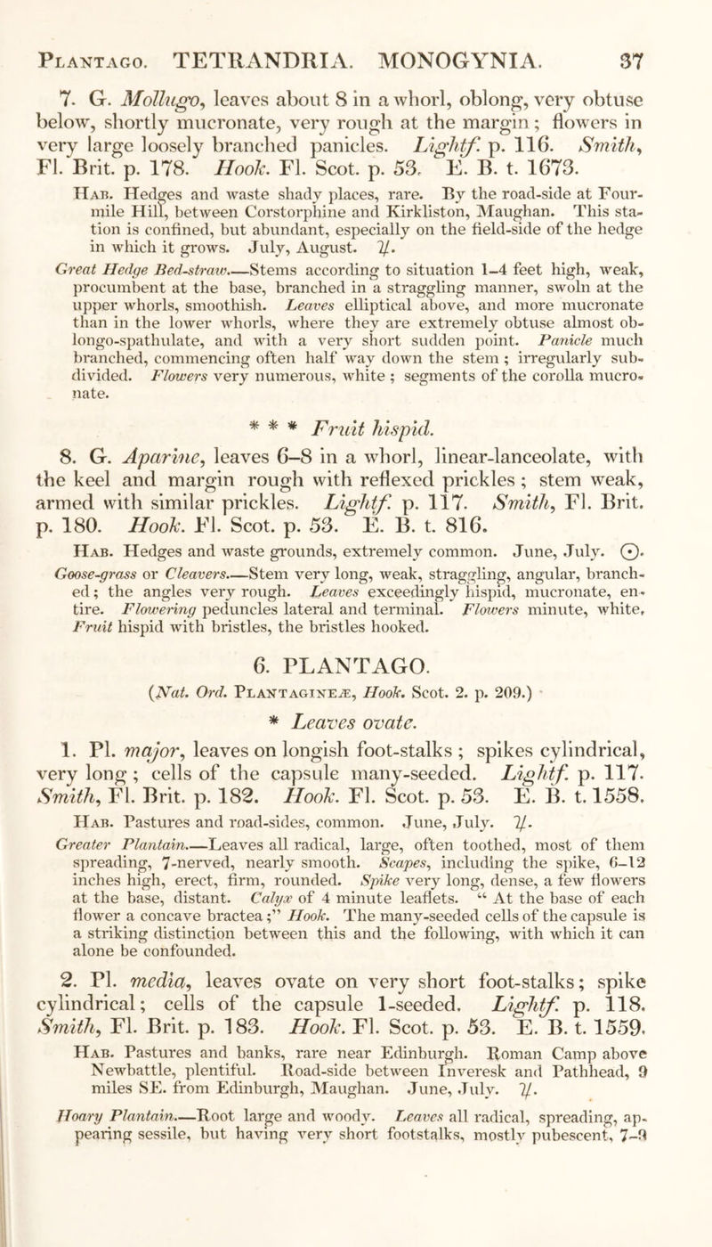 7. G. Mollugo, leaves about 8 in a whorl, oblong, very obtuse below, shortly mucronate, very rough at the margin; flowers in very large loosely branched panicles. Lighf. p. 116. Smith, FI. Brit. p. 178. Hook. FI. Scot. p. 53. E. B. t. 1673. Hab. Hedges and waste shady places, rare. By the road-side at Four- mile Hill, between Corstorphine and Kirkliston, Maughan. This sta- tion is confined, but abundant, especially on the field-side of the hedge in which it grows. July, August, if. Great Hedge Bed-straiv Stems according to situation 1-4 feet high, weak, procumbent at the base, branched in a straggling manner, swoln at the upper whorls, smoothish. Leaves elliptical above, and more mucronate than in the lower whorls, where they are extremely obtuse almost ob- longo-spathulate, and with a very short sudden point. Panicle much branched, commencing often half way down the stem; irregularly sub- divided. Flowers very numerous, white ; segments of the corolla mucro- nate. * * * Fruit hispid. 8. G. Aparine, leaves 6-8 in a whorl, linear-lanceolate, with the keel and margin rough with reflexed prickles ; stem weak, armed with similar prickles. Lightf. p. 117. Smith, FI. Brit, p. 180. Hook. El. Scot. p. 53. E. B. t. 816. Hab. Hedges and waste grounds, extremely common. June, July. 0. Goose-grass or Cleavers—Stem very long, weak, straggling, angular, branch- ed ; the angles very rough. Leaves exceedingly hispid, mucronate, en- tire. Flowering peduncles lateral and terminal. Flowers minute, white. Fruit hispid with bristles, the bristles hooked. 6. PLANTAGO. {Nat. Ord. Plantagixe^, Hook. Scot. 2. p. 209.) * Leaves ovate. 1. PI. major, leaves on longish foot-stalks; spikes cylindrical, very long ; cells of the capsule many-seeded. Lightf. p. 117. Smith, FI. Brit. p. 182. Hook. FI. Scot. p. 53. E. B. 1.1558. Hab. Pastures and road-sides, common. June, July. 7/. Greater Plantain—Leaves all radical, large, often toothed, most of them spreading, 7-nerved, nearly smooth. Scapes, including the spike, 0-12 inches high, erect, firm, rounded. Spike very long, dense, a few flowers at the base, distant. Calyx of 4 minute leaflets. u At the base of each flower a concave bractea;” Hook. The many-seeded cells of the capsule is a striking distinction between this and the following, with which it can alone be confounded. 2. PI. media, leaves ovate on very short foot-stalks; spike cylindrical; cells of the capsule 1-seeded. Lightf. p. 118. Smith, FI. Brit. p. 183. Hook. FI. Scot. p. 53. E. B. t. 1559. Hab. Pastures and banks, rare near Edinburgh. Roman Camp above Newbattle, plentiful. Road-side between Inveresk and Pathhead, 9 miles SE. from Edinburgh, Maughan. June, July. 7/. Hoary Plantain—Root large and woodv. Leaves all radical, spreading, ap- pearing sessile, but having very short footstalks, mostly pubescent, 7-9