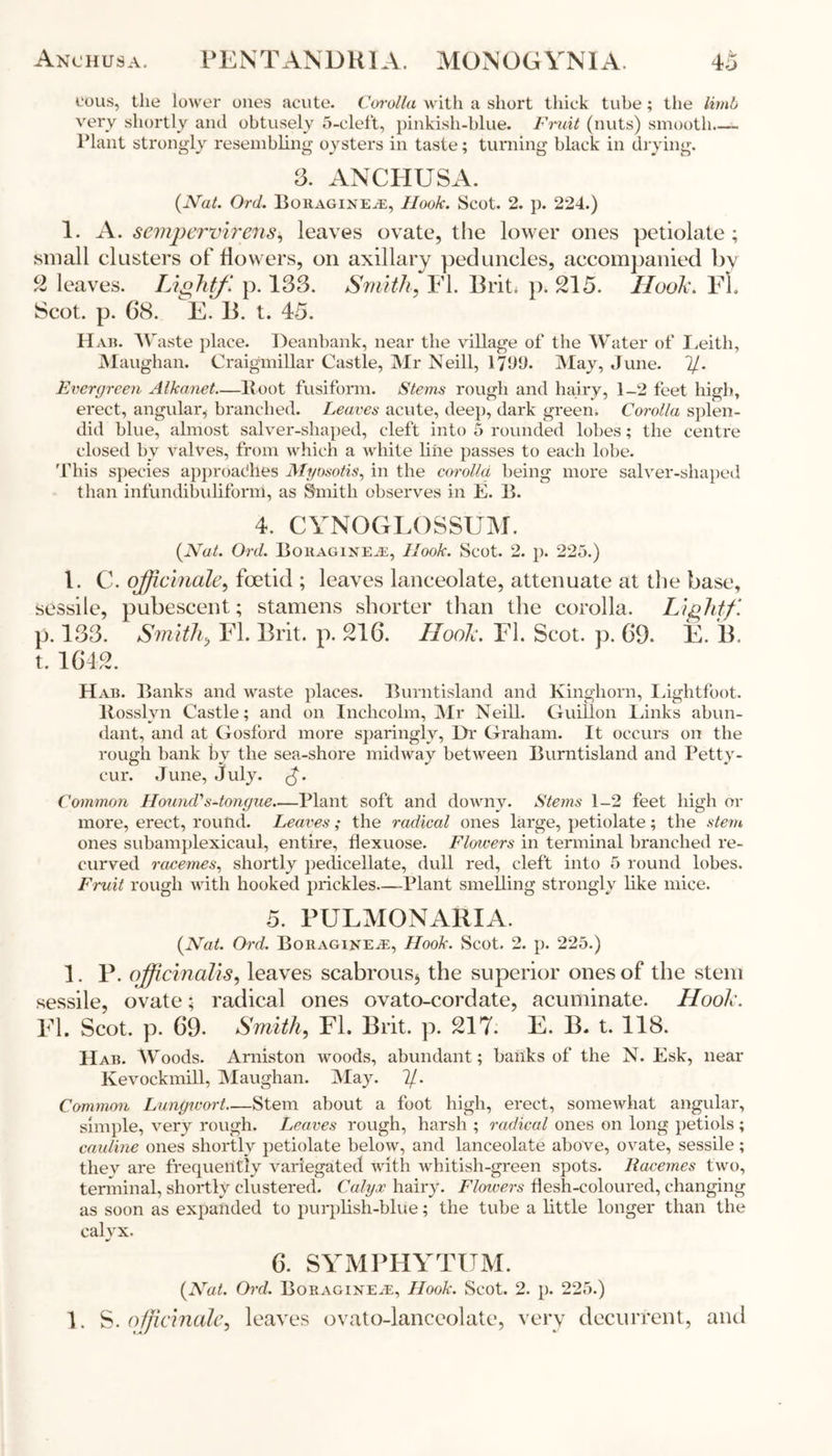 cous, the lower ones acute. Corolla with a short thick tube; the limb very shortly and obtusely 5-cleft, pinkish-blue. Fruit (nuts) smooth— Plant strongly resembling oysters in taste; turning black in drying. 3. ANCHUSA. (Nat. Ord. Boraginea:, Hook. Scot. 2. p. 224.) 1. A. sempervirens, leaves ovate, the lower ones petiolate ; small clusters of flowers, on axillary peduncles, accompanied by 2 leaves. Light/', p. 133. Smith, FI. Brit. p. 5. Hook. FI. Scot. p. 68. E. B. t. 45. Hab. Waste place. Deanbank, near the village of the Water of I.eith, Maughan. Craigmillar Castle, Mr Neill, 1799. May, June. 7/. Evergreen Alkanet—Boot fusiform. Stems rough and hairy, 1-2 feet high, erect, angular, branched. Leaves acute, deep, dark green. Corolla splen- did blue, almost salver-shaped, cleft into 5 rounded lobes; the centre closed by valves, from which a white line passes to each lobe. This species approaches Myosotis, in the corolla being more salver-sliaped than infundibuliform, as Smith observes in E. B. 4. CYNOGLOSSUM. (Nat. Ord. Bohaginea, Hook. Scot. 2. p. 225.) 1. C. officinale, foetid ; leaves lanceolate, attenuate at the base, sessile, pubescent; stamens shorter than the corolla. Light/'. p. 133. Smith, FI. Brit. p. 216. Hook. FI. Scot. p. 69. E. B. t. 1642. Hab. Banks and waste places. Burntisland and Kingliorn, Lightfoot. Bosslvn Castle; and on Inchcolm, Mr Neill. Guillon Links abun- dant, and at Gosford more sparingly, Dr Graham. It occurs on the rough bank by the sea-shore midway between Burntisland and Petty - cur. June, July. Common Hmmd''s-tongue.—Plant soft and downy. Stems 1-2 feet high or more, erect, round. Leaves; the radical ones large, petiolate; the stem ones subamplexicaul, entire, flexuose. Flowers in terminal branched re- curved racemes, shortly pedicellate, dull red, cleft into 5 round lobes. Fruit rough with hooked prickles—Plant smelling strongly like mice. 5. PULMONARIA. (Nat. Ord. Boraginea, Hook. Scot. 2. p. 225.) 1. P. officinalis, leaves scabrous* the superior ones of the stem sessile, ovate• radical ones ovato-cordate, acuminate. Hook. FI. Scot. p. 69- Smith, FI. Brit. p. 217. E. B. t. 118. Hab. Woods. Arniston woods, abundant; banks of the N. Esk, near Kevockmill, Maughan. May. 7/. Common Lungwort Stem about a foot high, erect, somewhat angular, simple, very rough. Leaves rough, harsh ; radical ones on long petiols ; cauline ones shortly petiolate below, and lanceolate above, ovate, sessile; they are frequently variegated with whitish-green spots. Racemes two, terminal, shortly clustered. Calyx hairy. Flowers flesh-coloured, changing as soon as expanded to purplish-blue; the tube a little longer than the calyx. 6. SYMPHYTUM. (Nat. Ord. Boraginea, Hook. Scot. 2. p. 225.) 1. S.officinale, leaves ovato-lanceolate, very decurfent, and