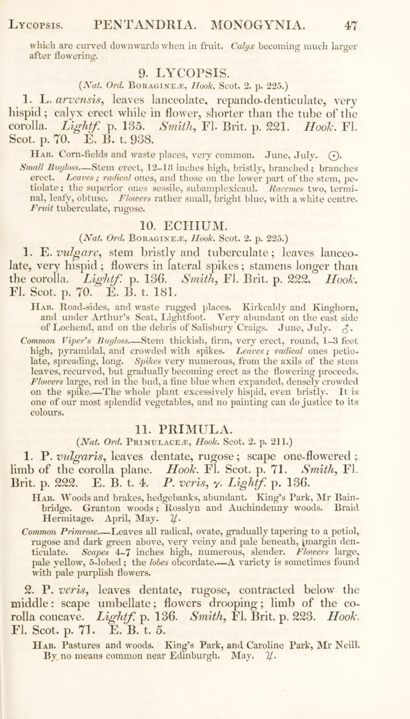 which are curved downwards when in fruit. Calyx becoming much larger after flowering. 9. LYCOPSIS. {Nat. Ord. Boraginete, Hook. Scot. 2. p. 225.) 1. L. arvensis, leaves lanceolate, repando-denticulate, very hispid; calyx erect while in flower, shorter than the tube of the corolla. Lightf. p. 135. Smith, FL Brit. p. 221. HooJc. Fh Scot. p. TO. E. B. t. 938. Hab. Corn-fields and waste places, very common. June, July. 0. Small Buyloss—Stem erect, 12-18 inches high, bristly, branched; branches erect. Leaves; radical ones, and those on the lower part of the stem, pe- tiolate; the superior ones sessile, subamplexicaul. Racemes two, termi- nal, leafy, obtuse. Flowers rather small, bright blue, with a white centre. Fruit tuberculate, rugose. 10. ECIIIUM. {Nat. Ord. BoRAGixEiE, Hook. Scot. 2. p. 225.) 1. E. vulgare, stem bristly and tuberculate; leaves lanceo- late, very hispid; flowers in lateral spikes; stamens longer than the corolla. Lightf. p. 136. Smith, El. Brit. p. 222. Hook, El. Scot. p. 70. E. B. t. 181. Hab. Road-sides, and waste rugged places. Kirkcaldy and Kinghorn, and under Arthur’s Seat, Lightfoot. Very abundant on the east side of Lochend, and on the debris of Salisbury Craigs. June, July. <$. Common Viper's Buyloss—Stem thickish, firm, very erect, round, 1-3 feet high, pyramidal, and crowded with spikes. Leaves; radical ones petio- late, spreading, long. Spikes very numerous, from the axils of the stem leaves, recurved, but gradually becoming erect as the flowering proceeds. Floivers large, red in the bud, a fine blue when expanded, densely crowded on the spike—The whole plant excessively hispid, even bristly. It is one of our most splendid vegetables, and no painting can do justice to its colours. 11. PRIMULA. {Nat. Ord. Primulace^e, Hook. Scot. 2. p. 211.) 1. P. vulgaris, leaves dentate, rugose; scape one-flowered; limb of the corolla plane. Hook. FI. Scot. p. 71. Smith, FL Brit. p. 222. E. B. t. 4. P. veris, y. Lightf. p. 136. Hab. Woods and brakes, hedgebanks, abundant. King’s Park, Mr Bain- bridge. Granton woods; Rosslyn and Auchindenny woods. Braid Hermitage. April, May. 7/. Common Primrose Leaves all radical, ovate, gradually tapering to a petiol, rugose and dark green above, very veiny and pale beneath, ^margin den- ticulate. Scapes 4-7 inches high, numerous, slender. Flowers large, pale yellow, 5-lobed; the lobes obcordate.—A variety is sometimes found with pale purplish flowers. 2. P. veris, leaves dentate, rugose, contracted below the middle: scape umbellate; flowers drooping; limb of the co- rolla concave. Lightf. p. 136. Smith, FI. Brit, p, 223. LIook\ FI. Scot. p. 71. E. B. t. 5. Hab. Pastures and woods. King’s Park, and Caroline Park, Mr Neill. By no means common near Edinburgh. May. 7/.