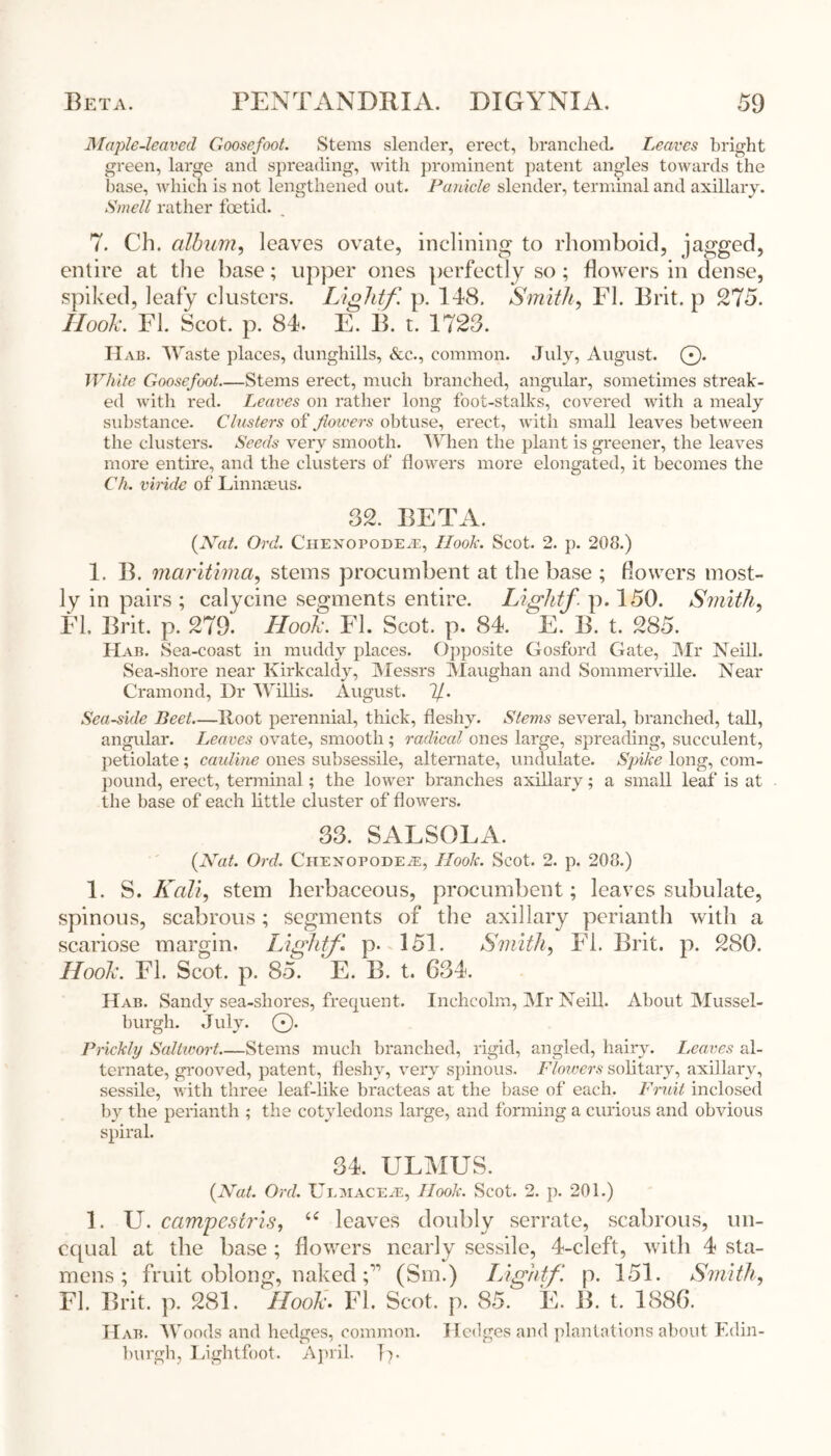 Maple-leaved Goosefoot. Stems slender, erect, branched. Leaves bright green, large and spreading, with prominent patent angles towards the base, which is not lengthened out. Panicle slender, terminal and axillary. Smell rather foetid. 7. Ch. album, leaves ovate, inclining to rhomboid, jagged, entire at the base; upper ones perfectly so ; flowers in dense, spiked, leafy clusters. Lightf p. 148. Smith, FI. Brit, p 275. Hook. FI. Scot. p. 84. E. B. t. 1723. Hab. Waste places, dunghills, &c., common. July, August. 0. White Goosefoot—Stems erect, much branched, angular, sometimes streak- ed with red. Leaves on rather long foot-stalks, covered with a mealy substance. Clusters of flowers obtuse, erect, with small leaves between the clusters. Seeds very smooth. When the plant is greener, the leaves more entire, and the clusters of flowers more elongated, it becomes the Ch. viride of Linnaeus. 32. BETA. {Nat. Ord. Ciiexopode.e, Hook. Scot. 2. p. 208.) 1. B. maritima, stems procumbent at the base ; flowers most- ly in pairs ; calycine segments entire. Lightf. p. 150. Smith, EL Brit. p. 279. Hook. FI. Scot. p. 84. E. B. t. 285. Hab. Sea-coast in muddy places. Opposite Gosford Gate, Mr Neill. Sea-shore near Kirkcaldy, Messrs Maughan and Sommerville. Near Cramond, Dr 'Willis. August. 7/. Sea-side Beet—Root perennial, thick, fleshy. Stems several, branched, tall, angular. Learns ovate, smooth; radical ones large, spreading, succulent, petiolate; cauline ones subsessile, alternate, undulate. Spike long, com- pound, erect, terminal; the lower branches axillary; a small leaf is at the base of each little cluster of flowers. 33. SALSOLA. {Nat. Ord. CiiexopodevE, Hook. Scot. 2. p. 208.) 1. S .Kali, stem herbaceous, procumbent; leaves subulate, spinous, scabrous; segments of the axillary perianth with a scariose margin. Light/1 p. 151. Smith, FI. Brit. p. 280. Hook. El. Scot. p. 85. E. B. t. 634. Hab. Sandy sea-shores, frequent. Inchcolm, Mr Neill. About Mussel- burgh. July. 0. Prickly Saltwort Stems much branched, rigid, angled, hairy. Leaves al- ternate, grooved, patent, fleshy, very spinous. Flowers solitary, axillary, sessile, with three leaf-like bracteas at the base of each. Fruit inclosed by the perianth ; the cotyledons large, and forming a curious and obvious spiral. 34. ULMUS. {Nat. Ord. Ulmace/E, Hook. Scot. 2. p. 201.) 1. U. campesiris, 66 leaves doubly serrate, scabrous, un- equal at the base ; flowers nearly sessile, 4-cleft, with 4 sta- mens ; fruit oblong, nakedf (Sm.) Lightf. p. 151. Smith, FI. Brit. p. 281. Hook. FI. Scot. p. 85. E. B. t. 1886. H ab. Woods and hedges, common. Hedges and plantations about Edin- burgh, Lightfoot. April. I7.