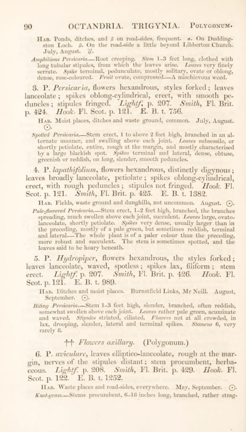 IIab. Ponds, ditches, and p> on road-sides, frequent, a. On Dudding- ston Loch. P>. On the road-side a little beyond Libberton Church. July, August, y. Amphilnotis Persicaria Root creeping. Stem 1-3 feet long, clothed with long tubular stipules, from which the leaves arise. Leaves very finely serrate. Spike terminal, pedunculate, mostly solitary, ovate or oblong, dense, rose-coloured. Fruit ovate, compressed—A mischievous weed. 3. P. Persicaria, flowers hexandrous, styles forked; leaves lanceolate; spikes oblong-cylindrical, erect, with smooth pe- duncles ; stipules fringed. Light/, p. 207. Smith, FI. Brit, p. 424. Hook. FI. Scot. p. 121. ' E. B. t. 756. Hab. Moist places, ditches and waste ground, common. July, August. ©• Spotted Persicaria—Stem erect, 1 to above 2 feet high, branched in an al- ternate manner, and swelling above each joint. Leaves subsessile, or shortly petiolate, entire, rough at the margin, and mostly characterised by a large blackish spot. Spikes terminal and lateral, dense, obtuse, greenish or reddish, on long, slender, smooth peduncles. 4. P. lapathifolium, flowers hexandrous, distinctly digynous; leaves broadly lanceolate, petiolate; spikes oblong-cylindrical, erect, with rough peduncles ; stipules not fringed. Hook. FI. Scot. p. 121. Smith, FI. Brit. p. 425. E. B. t. 1382. IIab. Fields, waste ground and dunghills, not uncommon. August. 0. Pale-Jioieered Persicaria—Stem erect, 1-2 feet high, branched, the branches spreading, much swollen above each joint, succulent. Leaves large, ovato- lanceolate, shortly petiolate. Spikes very dense, usually larger than in the preceding, mostly of a pale green, but sometimes reddish, terminal and lateral—The whole plant is of a paler colour than the preceding, more robust and succulent. The stem is sometimes spotted, and the leaves said to be hoary beneath. 5. P. Hydropiper, flowers hexandrous, the styles forked ; leaves lanceolate, waved, spotless; spikes lax, filiform ; stem erect. Light/, p. 207. Smith, FI. Brit. p. 426. Hook. FI. Scot. p. 121. ' E. B. t. 989. IIab. Ditches and moist places. Bumstfield Links, Mr NeilL August, September. 0. Biting Persicaria.-*-Stem 1-3 feet high, slender, branched, often reddish, somewhat swollen above each joint. Leaves rather pale green, acuminate and waved. Stipules striated, ciliated. Flowers not at all crowded, in lax, drooping, slender, lateral and terminal spikes. Stamens 0, very rarely 8. tt Flowers axillary. (Polygonum.) 6. P. aviculare, leaves elliptico-lanceolate, rough at the mar- gin, nerves of the stipules distant; stem procumbent, herba- ceous. Lightf. p. 208. Smith, FI. Brit. p. 429. IJook. FI. Scot. p. 122.' E. B. t. 1252. IIab. Waste places and road-sides, everywhere. May, September. 0. Knot-grass,—Stems procumbent, 0-18 inches long, branched, rather strag-