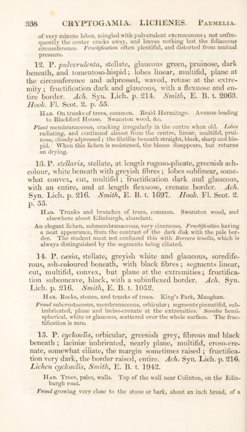 of very minute lobes, mingled with pulverulent excrescences; not unfre- quently the center cracks away, and leaves nothing but the lbliaceous circumference. Fructification often plentiful, and distorted from mutual pressure. 12. P. pitlvernlcnta, stellate, glaucous green, pruinose, dark beneath, and tomentoso-hispid; lobes linear, multifid, ])lane at the circumference and adpressed, waved, retuse at the extre- mity ; fructification dark and glaucous, with a flexuose and en- tire border. Ack. Syn. Lich. p. 214. Smith, E. B. t. 2063. Hook. FI. Scot. 2. p. 55. Hab. On trunks of trees, common. Braid Hermitage. Avenue leading to Blackford House. Swanston wood, Ac. Plant membranaceous, cracking irregularly in the centre when old. Lobes radiating, and continued almost from the centre, linear, multifid, prui- nose, closely adpressed ; the fibrillae beneath straight, black, sharp and his- pid. When this lichen is moistened, the bloom disappears, but returns on drying. 13. P. stellaris, stellate, at length rugoso-plicate, greenish ash- colour, white beneath with greyish fibres ; lobes sublinear, some- what convex, cut, multifid ; fructification dark and glaucous, with an entire, and at length flexuose, crenate border. Acli. Syn. Lich. p. 216. Smith, E. B. t. 1697. Hook. FI. Scot. 2. p. 55. Hab. Trunks and branches of trees, common. Swanston wood, and elsewhere about Edinburgh, abundant. An elegant lichen, submembranaceous, very cinereous. Fructification having a neat appearance, from the contrast of the dark disk with the pale bor- der. The student must not confound this with Jiurrcra tenella, which is always distinguished by the segments being ciliated. 14. P. ceESta, stellate, greyish white and glaucous, soredife- rous, ash-coloured beneath, with black fibres ; segments linear, cut, multifid, convex, but plane at the extremities; fructifica- tion subconcave, black, with a subinflexcd border. Acli. Syn. Lich. p. 216. Smith, E. B. t. 1052. Hab. Bocks, stones, and trunks of trees. King’s Park, Maughan. Frond subcrustaeeous, membranaceous, orbicular; segments pinnatifid, sub- imbricated, plane and inciso-crenate at the extremities. Soredia hemi- spherical, white or glaucous, scattered over the whole surface. The fruc- tification is mre. 15. P. cyclosclis, orbicular, greenish grey, fibrous and black beneath ; laciniae imbricated, nearly plane, multifid, eroso-ere- nate, somewhat ciliate, the margin sometimes raised ; fructifica- tion very dark, the border raised, entire. Ach. Syn. Lich. p. 216. Lichen cyclosclis, Smith, E. B. t. 1942. Hab. Trees, pales, walls. Top of the wall near Colinton, on the Edin- burgh road. Frond growing very close to the stone or bark, about an inch broad, of a