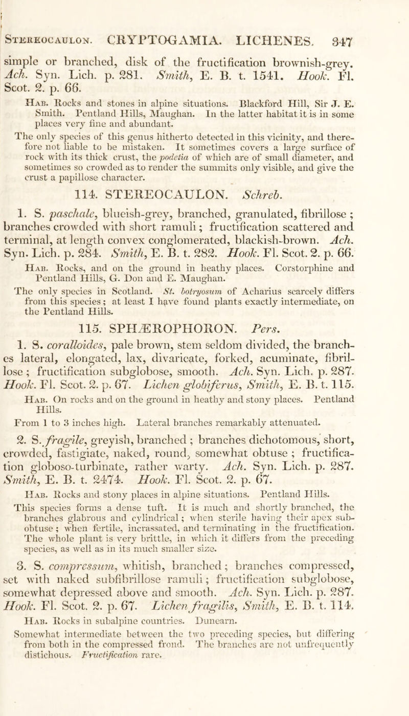 I Stereocaulon. CRYPTOGAMIA. LICHENES, 347 simple or branched, disk of the fructification brownish-grey. Ach. Syn. Lich. p. 281. Smith, E. B. t. 1541. Hook. FI. Scot. 2. p. 66. Hab. Rocks and stones in alpine situations. Blackford Hill, Sir J. E. Smith. Pentland Hills, Maughan. In the latter habitat it is in some places very fine and abundant. The only species of this genus hitherto detected in this vicinity, and there- fore not liable to be mistaken. It sometimes covers a large surface of rock with its thick crust, the podetia of which are of small diameter, and sometimes so crowded as to render the summits only visible, and give the crust a papillose character. 114. STEREOCAULON. Schreb. 1. S. leasehold, blueish-grey, branched, granulated, fibrillose ; branches crowded with short ramuli; fructification scattered and terminal, at length convex conglomerated, blackish-brown. Ach. Syn. Lich. p. 284. Smith, E. B. t. 282. Hook. FI. Scot. 2. p. 66. Hab. Hocks, and on the ground in heathy places. Corstorphine and Pentland Hills, G. Don and E. Maughan. The only species in Scotland. St. botryosum of Acharius scarcely differs from this species; at least I have found plants exactly intermediate, on the Pentland Hills. 115. SPILEROPHORON. Pers. 1. S. coralloides, pale brown, stem seldom divided, the branch- es lateral, elongated, lax, divaricate, forked, acuminate, fibril- lose ; fructification subglobose, smooth. Ach. Syn. Lich. p. 287- Hook. FI. Scot. 2. p. 67. Lichen globiferus, Smith, E. B. 1.115. Hab. On rocks and on the ground in heathy and stony places. Pentland Hills. From 1 to 3 inches high. Lateral branches remarkably attenuated. 2. S. fragile, greyish, branched ; branches dichotomous, short, crowded, fastigiate, naked, round, somewhat obtuse ; fructifica- tion globoso-turbinate, rather warty. Ach. Syn. Lich. p. 287. Smith,, E. B. t. 2474. Hook. FI. Scot. 2. p. 67. Hab. Hocks and stony places in alpine situations. Pentland Hills. This species forms a dense tuft. It is much and shortly branched, the branches glabrous and cylindrical; when sterile having their apex sab- obtuse ; when fertile, incrassated, and terminating in the fructification. The whole plant is very brittle, in which it differs from the preceding species, as well as in its much smaller size. 3. S. comprcssum, whitish, branched; branches compressed, set with naked subfibrillose ramuli; fructification subglobose, somewhat depressed above and smooth. Ach, Syn. Lich. p. 287. Hook. FI. Scot. 2. p. 67. Lichen Jragilis, Smith, E. B. t. 114. Hab. Hocks in subalpine countries. Dunearn. Somewhat intermediate between the two preceding species, but differing from both in the compressed frond. The branches are not unfrequently distichous. Fructification rare.