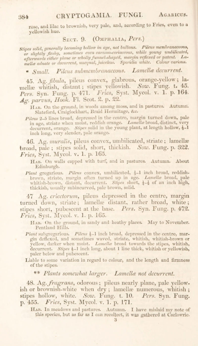 334 CRY PTOGAMIA. FUNGI. Agaricus. rose, and lilac to brownish, very pale, and, according to Fries, even to u yellowish hue. Sect. 9. (Omphalia, Pers.) Stipes solid, generally becoming hollow in age, not bulbous. Pileus membranaceous, or slightly fleshy, sometimes even carnoso-coriaceous, while young umbilicated, afterwards either plane or wholly funnel-shaped, margin reflexed or patent. La- mellce adnate or deeurrcnt, unequal, juiceless. Sporidia white. Colour various. * Small. Pileus 8ubmembranaceon8. Lamella decurrent. 45. Ag. fibula, pileus convex, glabrous, orange-yellow; la- mella? whitish, distant; stipes yellowish. Yore. Fung. t. 45. Pers. Syn. Fung. p. 471. Fries, Syst. Mycol. v. 1. p. 164. Ag. parvus, Ilook. FI. Scot. 2. p. 22. Hah. On the ground, in woods among moss, and in pastures. Autumn. Slateford, Craiglockhart, 11 raid Hermitage, 6lc. Pileus 2-5 lines broad, depressed in the centre, margin turned down, pale in age, striate when moist, reddish orange. Lamella broad, distinct, very decurrent, orange. Stipes solid in the young plant, at length hollow, 4-1 inch long, very slender, pale orange. 46. Ag. muralis, pileus convex, umbilicated, striate; lamella? broad, pale ; stipes solid, short, thickish. Sow. Fung. p. 322. Fries, Syst. Mycol. v. 1. p. 16‘5. Hab. On walls capped with turf, and in pastures. Autumn. About Edinburgh. Plant gregarious. Pileus convex, umbilicated, 4-1 inch broad, reddish- brown, striate, margin often turned up in age. Lamellae broad, pale whitish-brown, distant, decurrent. Stipes short, J-4 of an inch high, thickish, usually subincurved, pale brown, solid. 47 Ag. cricctorum, pileus depressed in the centre, margin turned down, striate; lamella? distant, rather broad, white; stipes short, pubescent at the base. Pers. Syn. Fung. p. 472. Fries, Syst. Mycol. v. 1. p. 165. IIab. On the ground, in sandy and heathy places. May to November. Pentland Hills. Plant subgregarious. Pileus 4-1 inch broad, depressed in the centre, mar- gin denexed, and sometimes waved, striate, whitish, whitish-brown or yellow, darker when moist. Lamellce broad towards the stipes, whitish, decurrent. Stipes 4-1 inch long, about 1 line thick, whitish or yellowish, paler below and pubescent. Liable to some variation in regard to colour, and the length and firmness of the stipes. ** Plants somewhat larger. Lamella not decurrent. 48. Ag.fragrans, odorous; pileus nearly plane, pale yellow- ish or brownish-white when dry ; lamellae numerous, whitish ; stipes hollow, white. Sow. Fung. t. 10. Pers. Syn. Fung, p. 455. Fries, Syst. Mycol. v. 1. p. 171. IIah. In meadows and pastures. Autumn. I have mislaid my note of this species, but as far as I can recollect, it was gathered at Caxlowrie.