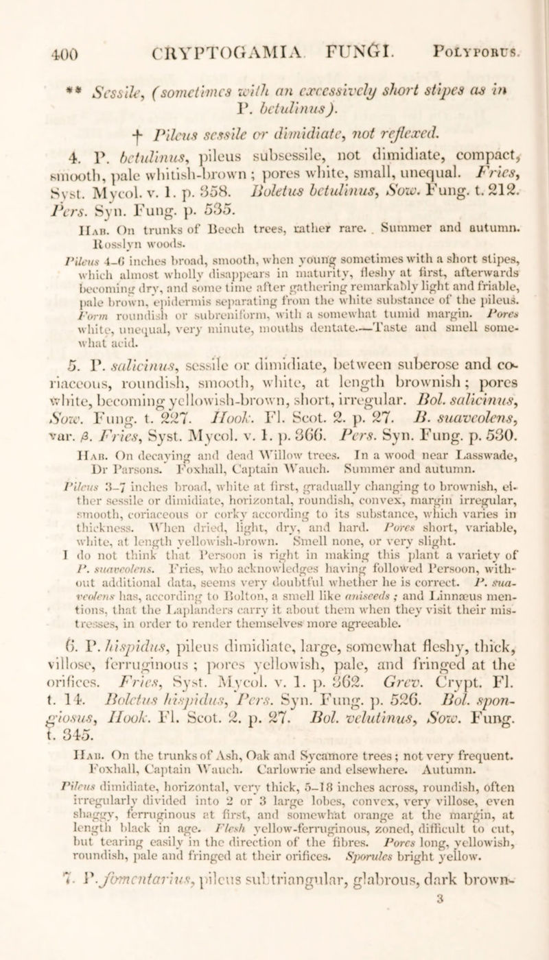 ** Sessile, (sometimes with an excessively short stipes as in P. betulinus). -f- Pileus sessile or dimidiate, not rejlexed. 4. p. betulinus, pileus subsessile, not dimidiate, compact, smooth, pale whitish-brown ; pores white, small, unequal. Fries, Svst. Mvcol. v. 1. p. 358. Boletus betulinus, Sow. Fung. t. 212. Pers. Syn. Fung. p. 535. Hah. On trunks of Beech trees, cither rare. . Summer and autumn. It osslvn woods. Pileus 4-0 inches broad, smooth, when young sometimes with a short stipes, which almost wholly disappears in maturity, fleshy at first, afterwards becoming dry, and some time after gathering remarkably light and friable, pale brown, epidermis separating from the white substance of the pileus. Form roundish or subreniform, with a somewhat tumid margin. Pores white, unequal, very minute, mouths dentate.— iaste and smell some- what acid. 5. P. sallcinus, sessile or dimidiate, between suberose and co- riaceous, roundish, smooth, white, at length brownish; pores white, becoming yellowish-brown, short, irregular. Bol. sallcinus, Sow. Fung. t. 227. Hook. FI. Scot. 2. p. 27. B- suaveolens, vur. /3. Fries, Syst. Mycol. v. 1. p. 366. Pers. Syn. Fung. p. 530. Har. On decaying and dead Willow trees. In a wood near Lasswade, Dr Parsons. Foxhall, Captain Wauch. Summer and autumn. Pllcus 3-7 inches broad, white at first, gradually changing to brownish, ei- ther sessile or dimidiate, horizontal, roundish, convex, margin irregular, smooth, coriaceous or corky according to its substance, which varies in thickness. When dried, light, dry, and hard. Pores short, variable, white, at length yellowish-brown. Smell none, or very slight. I do not think that Persoon is right in making this plant a variety of P. suaveolens. Fries, who acknowledges having followed Persoon, with- out additional data, seems very doubtful whether he is correct. P. sua- veolens has, according to Bolton, a smell like aniseeds; and Linnaeus men- tions, that the Laplanders carry it about them when they visit their mis- tresses, in order to render themselves more agreeable. 6. V. hispidus, pileus dimidiate, large, somewhat fleshy, thick, villose, ferruginous ; pores yellowish, pale, and fringed at the orifices. Fries, Syst. Mycol. v. 1. p. 362. Grcv. Crypt. FI. t. 14. Boletus hispidus, Pers. Syn. Fung. p. 526. Bol. spon- piosus, Hook. FI. Scot. 2. p. 27. Bol. velutinus, Sow. Fung, t. 345. Hah. On the trunks of Ash, Oak and Sycamore trees; not very frequent. Foxhall, Captain Wauch. Carlowrie and elsewhere. Autumn. Pileus dimidiate, horizontal, very thick, 5-18 inches across, roundish, often irregularly divided into 2 or 3 large lobes, convex, very villose, even shaggy, ferruginous at first, and somewhat orange at the margin, at length black in age. Flesh yellow-ferruginous, zoned, difficult to cut, but tearing easily in the direction of the fibres. Pores long, yellowish, roundish, pale and fringed at their orifices. Sporulcs bright yellow. 7- P.jbmcntarius, pileus sul triangular, glabrous, dark brownw 3