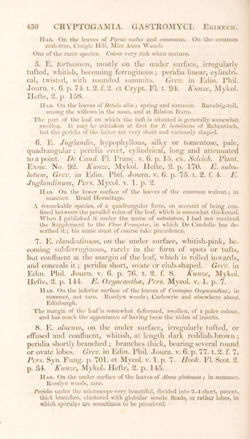 Hab. On the leaves of Pyrus mu/us and communis. On the common crab-tree, Craigie Ilill, Miss Anna Wauch. One of the rarer species. Colour very rich when mature. 5. E. turtuosinu, mostly on the under surface, irregularly tufted, whitish, becoming ferruginous; peridia linear, cylindri- cal, twisted, with rounded summits. Grcv. in Edin. Phil. Journ. v. 6. p. 74. t. 2. f. 2. ct Crypt. FI. t. 1)1. Kunzey Mykol. Ilefte, 2. p 158. IIab. On the leaves o[' lietula alba ; spring and summer. liavelrig-toll, among the willows in the moss, and at Bilston Burn. The part of the leaf on which the tuft is situated is generally somewhat swollen. It maybe mistaken at lirst for E. belulinum of Rebentisch, but the peridia of the latter are very short and variously shaped. b. E. Juglandts, hvpophyllous, silky or tomentose, pale, quadrangular ; peridia erect, cylindrical, long and attenuated to a point. I)r Cand. FI. Fraiup v. (i. p. 15. ex. Sclcich. Plant. Exsic. No. 92. KuttTsc, Mykol. Ilefte, 2. p. 170. E. subu^ latum, Grcv. in Edin. Phil. Journ. v. (j. p. 75. t. 2. f. 4. E. Juglandinum, Pers. Mycol. v. 1. p. 2. IIab. On the lower surface of the leaves of the common walnut; in summer. Braid Hermitage. \ remarkable species, of a quadrangular form, on account of being con- fined between the parallel veins of the leaf, which is somewhat thickened. W1 len I published it under the name of subulatum, I had not received the Supplement to the Clare Eranguisc, in which l)e Candolle lias de- scribed it; his name must of course take precedence. 7. E. clandcstin tun, on the under surface, whitish-pink, be- coming subferruginous, rarely in the form of spots or tufts, but confluent at the margin of the leaf, which is rolled inwards, and conceals it; peridia short, ovate or club-shaped. Grcv. in Edin. Phil. Journ. v. b*. p. 7b. t. 2. f. 8. Kunze, Mykol. Hefte, 2. p. 144. E. Oxyacanthce, Pcrs. Mycol. v. 1. p. 7. IIab. On the inferior surface of the leaves of Crataegus Oxyacanthus; in summer, not rare. Rosslyn woods; Carlowrie and elsewhere about Edinburgh. The margin of the leaf is somewhat deformed, swollen, of a paler colour, and has much the appearance of having been the nidus of insects. 8. E. (iltinnn, on the under surface, irregularly tufted, or effused and confluent, whitish, at length dark reddish-brown; peridia shortly branched ; branches thick, bearing several round or ovate lobes. Grcv. in Edin. Phil. Journ. v. 6. p. 77. t. 2. f. 7. Pcrs. Syn. Fung. p. 701. et Mycol. v. 1, p. 7- Hook. FI. Scot. 2. p. &4. Kunze, Mykol. Hefte, 2. p. 145. Hab. On the under surface of the leaves of Alnus glutinosa ; in summer. Rosslyn woods, rare. Peridia under the microscope very beautiful, divided into 2-4 short, patent, thick branches, clustered with globular sessile lteads, or rather lobes, iu which sporulgs turc sometimes to be perceived.
