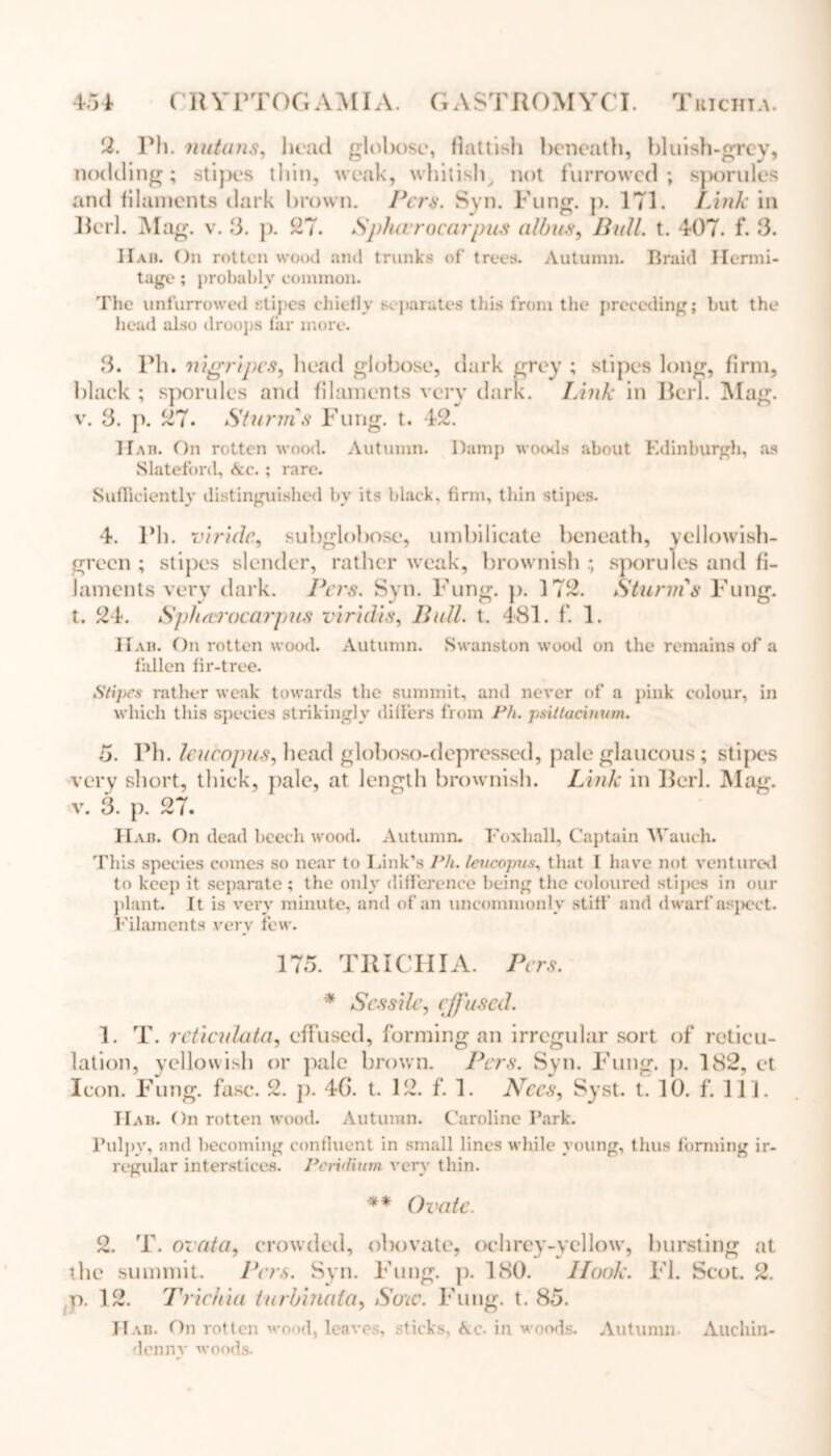 2. Ph. nutans, head globose, flattish beneath, bluish-grey, nodding; stipes thin, weak, whitish not furrowed; sporules and filaments dark brown. Peru. Syn. Fung. j). 171. Link in Perl. Mag. v. 3. p. 27. Spluvrocarpus alb us, Bull. t. 407. f. 3. 11 ah. On rotten wood and trunks of trees. Autumn. Braid Hermi- tage ; probably common. The unfurrowed stipes chiefly separates this from the preceding; but the head also droops far more. 3. Ph. nigripcs, head globose, dark grey ; stipes long, firm, black ; sporules and filaments very dark. Link in Berl. Mag. v. 3. p. 27. Sturms Fung. t. 42. Hah. On rotten wood. Autumn. Damp woods about Edinburgh, as Slateford, Ac.; rare. Sufficiently distinguished bv its black, firm, thin stipes. 4. Ph. v\rule, subglobose, umbilicate beneath, yellowish- green ; stipes slender, rather weak, brownish ; sporules and fi- laments very dark. Peis. Syn. Fung. p. 172. Sturms Fung, t. 24. Spharocarpus viridis, Bull. t. 481. f. 1. Hah. On rotten wood. Autumn. Swanston wood on the remains of a fallen fir-tree. Stipes rather weak towards the summit, and never of a pink colour, in which this species strikingly differs from Ph. psillacirtum. 5. Ph. leucopus, head globoso-depressed, pale glaucous ; stipes •very short, thick, pale, at length brownish. Link in Berl. Mag. v. 3. p. 27. IIah. On dead beech wood. Autumn. Foxliall, Captain AVauch. This species comes so near to Link’s Ph. leucopus, that 1 have not ventured to keep it separate ; the only difference being the coloured stipes in our plant. It is very minute, and of an uncommonly stiff and dwarf aspect. Filaments very few. 175. TRICHIA. Pcrs. * Sessile, effused. 1. T. reticulata, effused, forming an irregular sort of reticu- lation, yellowish or pale brown. Pcrs. Syn. Fung. p. 182, et Icon. Fung. fasc. 2. p. 40. t. 12. f. 1. Nccs, Syst. t. 10. f. 111. IIah. On rotten wood. Autumn. Caroline Park. Pulpy, and becoming confluent in small lines while young, thus forming ir- regular interstices. Pcridium very thin. ** Ovate. 2. T. ovata, crowded, obovate, ochrcy-yellow, bursting at the summit. Pcrs. Syn. Fung. p. 180. Hook. FI. Scot. 2. p. 12. Trichia turbinater, Soic. Fung. t. 85. Had. On rotten wood, leaves, sticks, Ac. in woods. Autumn- Auchin- denny woods.
