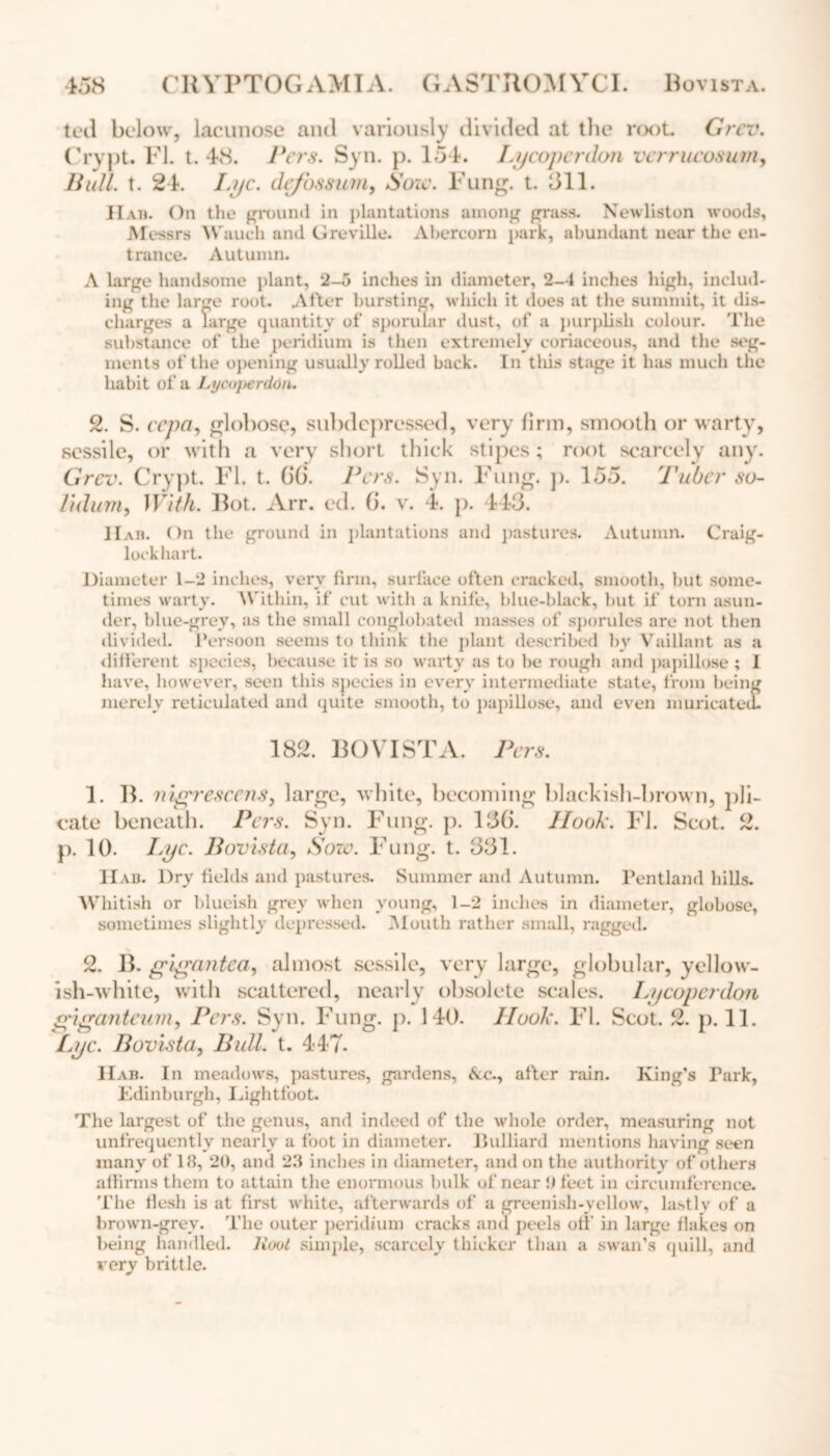 ted below, lacunose aiul variously divided at the r<x>t. Grcv. Crvpt. FI. t. 48. Pers. Syn. p. 154. Lycoperdon vcrrucosum, Bull. t. 24. Lye. defossum, Aozc\ Fung. t. 811. Had. On the ground in plantations among grass. Newliston woods, Messrs Waueh and Greville. Abercorn park, abundant near the en- trance. Autumn. A large handsome plant, 2-5 inches in diameter, 2-4 inches high, includ- ing the large rout. Alter bursting, which it does at the summit, it dis- charges a large quantity of sporular dust, of a purplish colour. The substance of the peridium is then extremely coriaceous, and the seg- ments of the opening usually rolled back. In this stage it has much the habit of a Lycoperddn. 2. S. ccpa, globose, subdepressed, very linn, smooth or warty, sessile, or with a very short thick stipes; root scarcely any. Grev. Crypt. FI. t. 66. Pcrs. Syn. Fung. p. 155. Tuber so- lidum, With. Rot. Arr. ed. 6. v. 4. p. 443. Hah. On the ground in plantations and pastures. Autumn. Craig- lockhart. Diameter 1-2 inches, very firm, surface often cracked, smooth, but some- times warty. Within, if cut with a knife, blue-black, but if torn asun- der, blue-grey, as the small conglobated masses of sporules are not then divided, l’ersoon seems to think the plant described by Vaillant as a different species, because it is so warty as to be rough and papillose ; I have, however, seen this species in every intermediate state, from being merely reticulated and quite smooth, to papillose, and even muricateu. 182. BOV I ST A. Pers. 1. B. nigrescens, large, white, becoming blackish-brown, pli- cate beneath. Pers. Syn. Fung. p. 136. Hook. FI. Scot. 2. p. 10. Lye. Bovista, Sow. Fung. t. 331. IIad. Dry fields and pastures. Summer and Autumn. Pentland hills. Whitish or blueish grey when young, 1-2 inches in diameter, globose, sometimes slightly depressed. Mouth rather small, ragged. 2. B. gigantea, almost sessile, very large, globular, yellow- ish-white, with scattered, nearly obsolete scales. Lycoperdon giganteum, Pers. Syn. Fung. p. 140. Hook. FI. Scot. 2. p. 11. Lye. Bovista, Bull. t. 447. Had. In meadows, pastures, gardens, Ac., after rain. King’s Park, Edinburgh, Lightfoot. The largest of the genus, and indeed of the whole order, measuring not unfrequently nearly a foot in diameter, llulliard mentions having seen many of 18, 20, and 23 inches in diameter, and on the authority of others affirms them to attain the enormous bulk of near 0 feet in circumference. The flesh is at first white, afterwards of a greenish-yellow, lastly of a brown-grey. The outer peridium cracks and peels off in large flakes on being handled. Root simple, scarcely thicker than a swan’s quill, and very brittle.