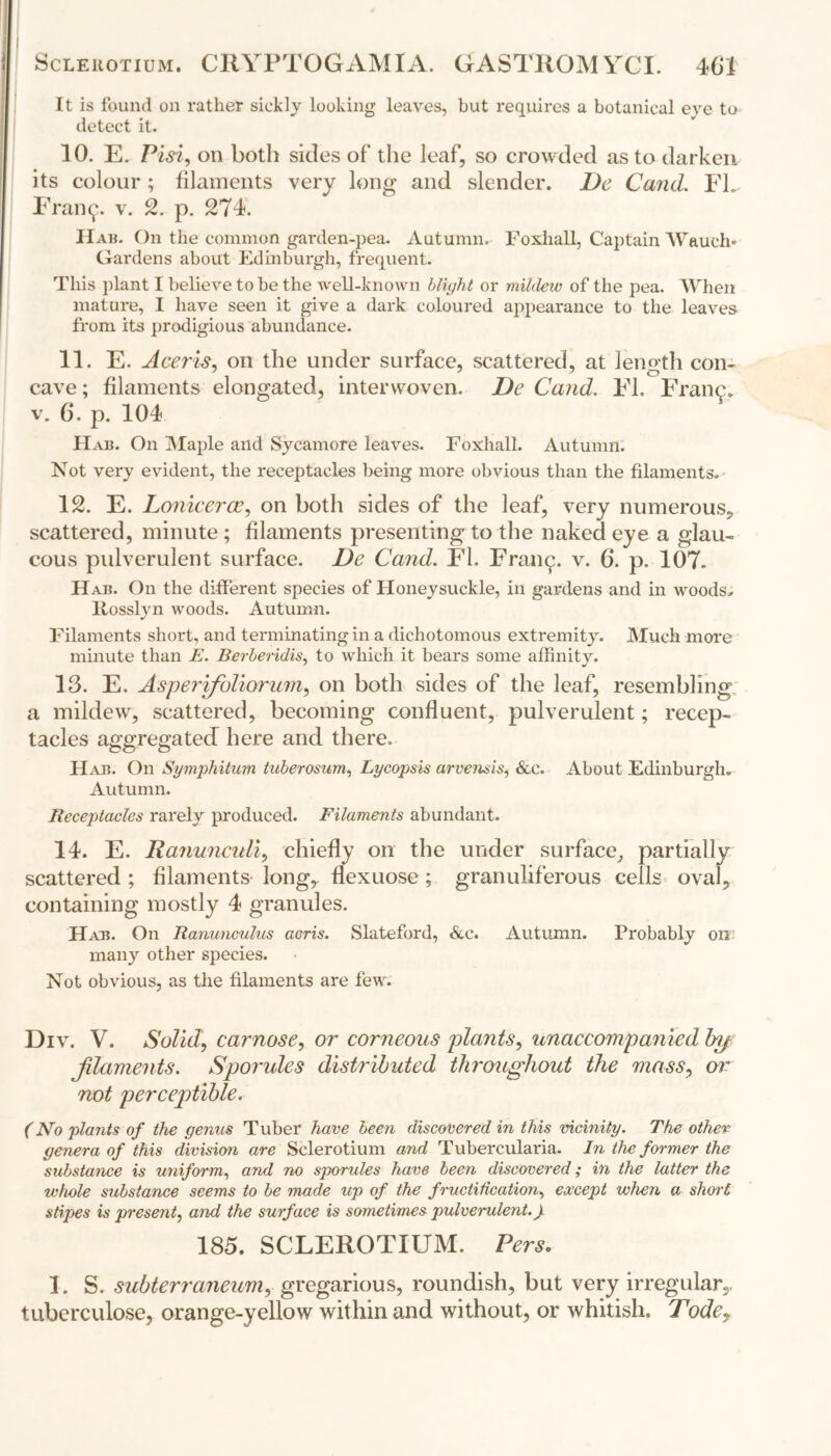 It is found on rather sickly looking leaves, but requires a botanical eve to detect it. 10. E. Pisi, on both sides of the leaf, so crowded as to darken its colour; filaments very long and slender. De Cand. Fh Fran<^. v. 2. p. 274. Hab. On the common garden-pea. Autumn. Foxhall, Captain Wauch* Gardens about Edinburgh, frequent. This plant I l)elieve to be the well-known blight or mildew of the pea. When mature, I have seen it give a dark coloured appearance to the leaves from its prodigious abundance. 11. E. Aceris, on the under surface, scattered, at length con- cave ; filaments elongated, interwoven. De Cand. FI. Franc, v. 6. p. 104 IIab. On Maple and Sycamore leaves. Foxhall. Autumn. Not very evident, the receptacles being more obvious than the filaments. 12. E. Lonicerce, on both sides of the leaf, very numerous, scattered, minute ; filaments presenting to the naked eye a glau- cous pulverulent surface. De Cand. FI. Fran^. v. 6. p. 107. Hab. On the different species of Honeysuckle, in gardens and in woods, liosslyn woods. Autumn. Filaments short, and terminating in a dichotomous extremity. Much more minute than E. Berberidis, to which it bears some affinity. 13. E. Asperifoliorum, on both sides of the leaf, resembling a mildew, scattered, becoming confluent, pulverulent; recep- tacles aggregated here and there. Hab. On Symphitum tuberosum, Lycopsis arvensis, See. About Edinburgh. Autumn. Receptacles rarely produced. Filaments abundant. 14. E. Ranunculi, chiefly on the under surface, partially scattered ; filaments long,, flexuose; granuliferous cells oval, containing mostly 4 granules. Hab. On Ranunculus acris. Slateford, &e. Autumn. Probably on many other species. Not obvious, as the filaments are few. Div. V. Solid, carnose, or corneous plants, unaccompanied by filaments. Sporules distributed throughout the mass, or not perceptible. (No plants of the genus Tuber have been discovered in this vicinity. The other genera of this division are Sclerotium and Tubercularia. In the former the substance is uniform, and no sporules have been discovered; in the latter the whole substance seems to be made up of the fructification, except when a short stipes is present, and the surface is sometimes pulverulent. J. 185. SCLEROTIUM. Pers. 1. S. subterraneumy gregarious, roundish, but very irregular,, tuberculose, orange-yellow within and without, or whitish. Todey