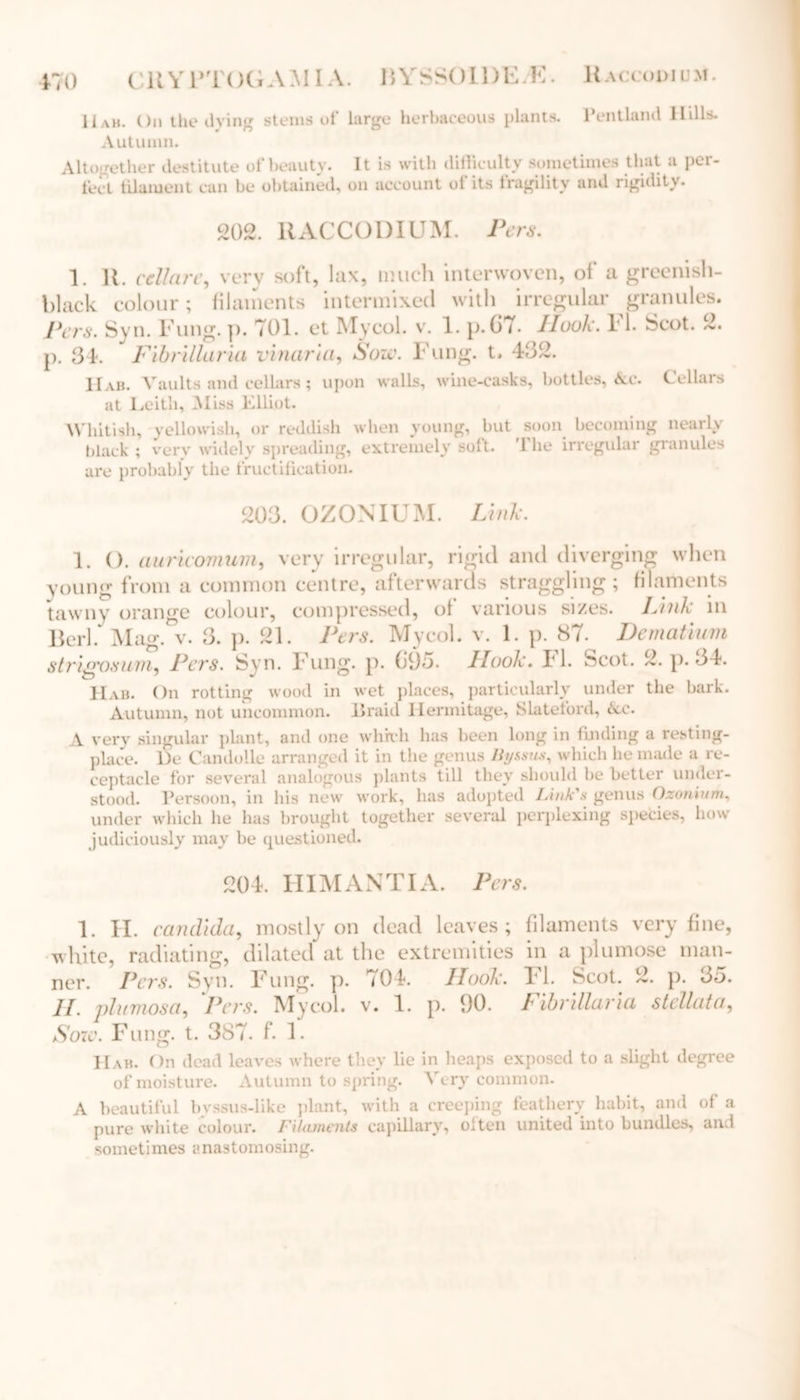 Hah. On the living stems of large herbaceous plants. Ventlaml Ilills. Autumn. Altogether destitute of beauty. It is with difficulty sometimes that a per- fect filament cun be obtained, on account ot its fragility and rigidity. 202. RACCODIUM. Pers. 1. 11. cellar e, very soft, lax, much interwoven, of a greenish- black colour; filaments intermixed with irregular granules. Pers. Syn. Fung. p. 701. et My col. v. 1. p.67. Hook. 1 1- Scot. 2. p. 34. Fibrlllaria vinaria, Sow. Fung. t. 432. Hab. Vaults and cellars ; upon walls, wine-casks, bottles, Ac. Cellars at Leith, Miss Elliot. Whitish, yellowish, or reddish when young, but soon becoming nearly black ; very widely spreading, extremely soft. 4 he irregular granules are probably the fructification. 203. OZONIUM. Link. 1. O. auricomum, very irregular, rigid and diverging when young from a common centre, afterwards straggling ; filaments tawny orange colour, compressed, ol various sizes. Link m Berk Mag. v. 3. p. 21. Pers. Mycol. v. 1. p. 87. Dematium strigosum, Pers. Syn. Fung. p. 695. Ilook. I' 1. Scot. 2. p. 34. Hab. On rotting wood in wet places, particularly under the bark. Autumn, not uncommon. Braid Hermitage, Slateford, Ac. A very singular plant, and one which has been long in finding a resting- place. De Candolle arranged it in the genus liy&sus, which he made a re- ceptacle for several analogous plants till they should he better under- stood. Persoon, in his new work, has adopted Link's genus Ozonium, under which he has brought together several perplexing species, how judiciously may be questioned. 204. HIMANTIA. Pers. 1. H. Candida, mostly on dead leaves; filaments very fine, white, radiating, dilated at the extremities in a plumose man- ner. Pers. Syn. Fung. p. 704. Hook. 11. Scot. 2. p. 35. II. plumosa, Pers. Mycol. v. 1. p. 90. Fibrillaria stellata, Sow. Fung. t. 387. f. 1. Hab. On dead leaves where they lie in heaps exposed to a slight degree of moisture. Autumn to spring. Very common. A beautiful bvssus-like plant, with a creeping feathery habit, and of a pure white colour. Filaments capillary, often united into bundles, and sometimes anastomosing.