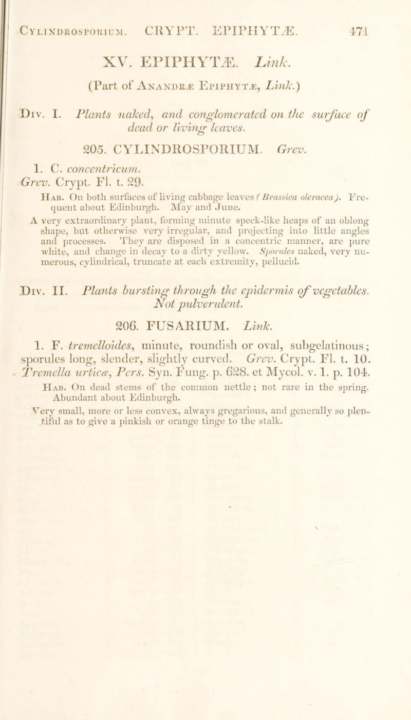 XV. EPIPHYTE. Link. (Part of Anande.e Epiphyt e, Link.) Div. I. Plants naked, and conglomerated on the surface oj dead or living leaves. 205. CYLINDROSPOUIUM. Grev. 1. C. concentricum. Grev. Crypt. FI. t. 29. Hab. On both surfaces of living cabbage leaves (Brassica oleracea). Fre- quent about Edinburgh. May and June. A very extraordinary plant, forming minute speck-like heaps of an oblong shape, but otherwise very irregular, and projecting into little angles and processes. They are disposed in a concentric manner, are pure white, and change in decay to a dirty yellow. Sporules naked, very nu- merous, cylindrical, truncate at each extremity, pellucid. Div. II. Plants bursting through the epidermis of vegetables. Not pulverulent. 206. FUSARIUM. Link. 1. F.tremelloides, minute, roundish or oval, subgelatinous; sporules long, slender, slightly curved. Grev. Crypt. FI. t. 10. - Tremella urticce, Pers. Syn. Fung. p. 628. et Mycol. v. 1. p. 104. Hab. On dead stems of the common nettle ; not rare in the spring. Abundant about Edinburgh. Very small, more or less convex, always gregarious, and generally so plen- tiful as to give a pinkish or orange tinge to the stalk.