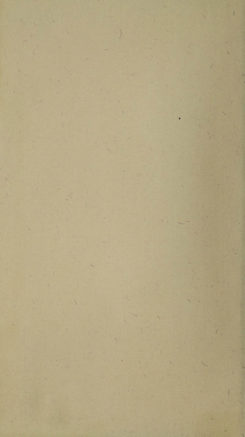 V r I / \ I -sJ - \ ^ \ V / V, I ) , ( 1 \ ( '1 V I ■S N N I \ • \ 'V ■ ^ I , ■if. -■ . ■ J