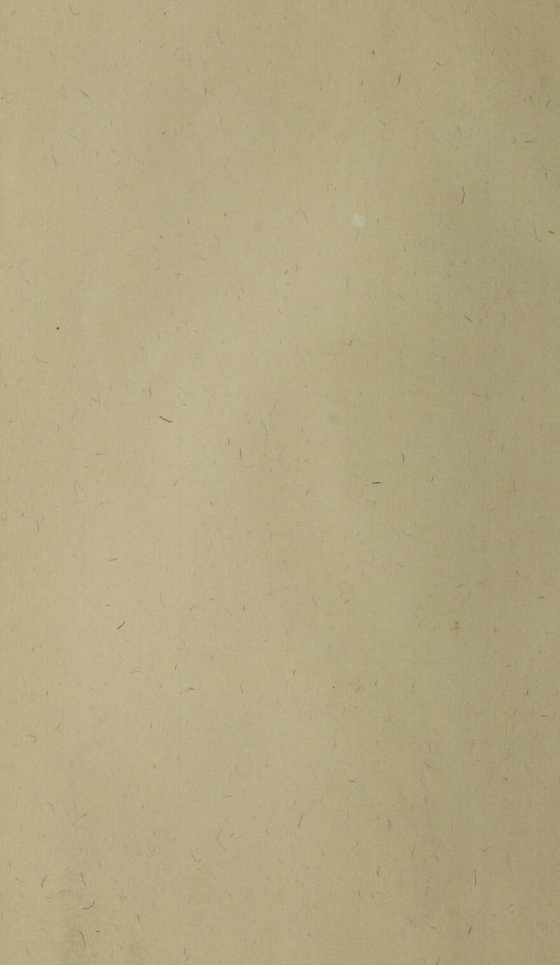 / ,1, ' ■ / • / •t >V Vi I ' 'V : I I 1. ' \ r / \ ■:fr ’ i- f / / ( \, K \ / ,i'- y ( i. I i ^ ' ■ > s ' • • . »- ^ / ■' \ '- .'’V ■ •■ i'l ■ » ' . m>.r' .^vfV', A V' . ) .^I , ■ >• , /