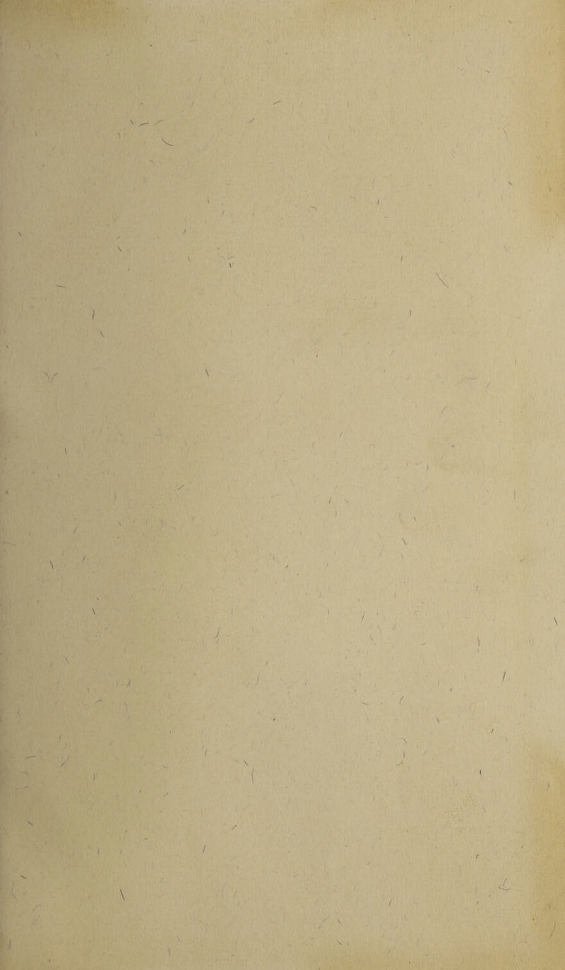 N t Z' 1 ' I V I ^ . \ ' / ) / / l K. V \ \ ;