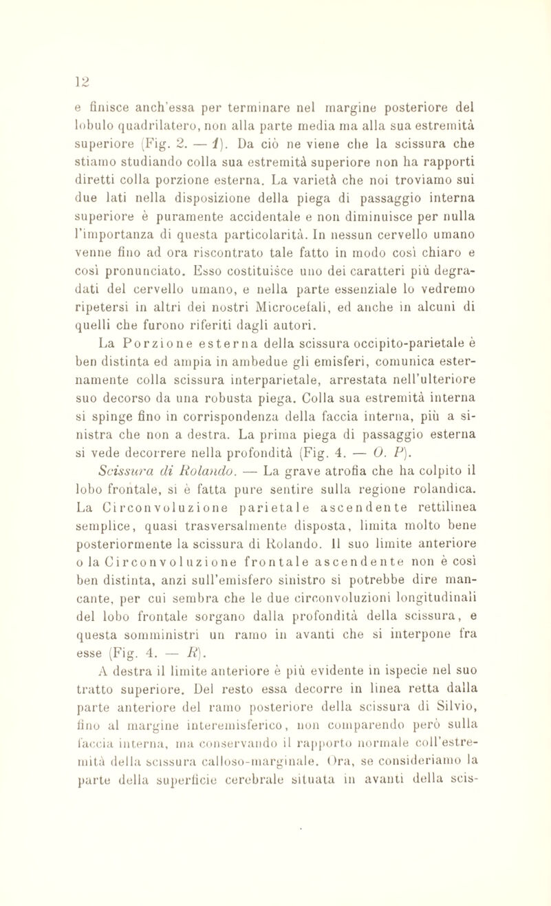 e finisce anch’essa per terminare nel margine posteriore del lobulo quadrilatero, non alla parte media ma alla sua estremità superiore '^Fig. 2. — i). Da ciò ne viene che la scissura che stiamo studiando colla sua estremità superiore non ha rapporti diretti colla porzione esterna. La varietà che noi troviamo sui due lati nella disposizione della piega di passaggio interna superiore è puramente accidentale e non diminuisce per nulla l’importanza di questa particolarità. In nessun cervello umano venne fino ad ora riscontrato tale fatto in modo così chiaro e così pronunciato. Esso costituisce uno dei caratteri più degra¬ dati del cervello umano, e nella parte essenziale lo vedremo ripetersi in altri dei nostri Microcefali, ed anche in alcuni di quelli che furono riferiti dagli autori. La Porzione esterna della scissura occipite-parietale è ben distinta ed ampia in ambedue gli emisferi, comunica ester¬ namente colla scissura interparietale, arrestata nell’ulteriore suo decorso da una robusta piega. Colla sua estremità interna si spinge fino in corrispondenza della faccia interna, più a si¬ nistra che non a destra. La prima piega di passaggio esterna si vede decorrere nella profondità (Fig. 4. — O. P). Scissura di Rolando. — La grave atrofia che ha colpito il lobo frontale, si è fatta pure sentire sulla regione rolandica. La Circonvoluzione parietale ascendente rettilinea semplice, quasi trasversalmente disposta, limita molto bene posteriormente la scissura di Rolando, il suo limite anteriore 0 la Circonvoluzione frontale ascendente non è cosi ben distinta, anzi suH’emisfero sinistro si potrebbe dire man¬ cante, per cui sembra che le due circonvoluzioni longitudinali del lobo frontale sorgano dalla profondità della scissura, e questa somministri un ramo in avanti che si interpone fra esse (Fig. 4. — R). A destra il limite anteriore è più evidente in ispecie nel suo tratto superiore. Del resto essa decorre in linea retta dalla parte anteriore del ramo posteriore della scissura di Silvio, fino al margine interemisferico, non comparendo però sulla la(;cia interna, ma conservando il rapporto normale coll’estre¬ mità della scissura calloso-inarginale. Ora, se consideriamo la parto della superficie cerebrale situata in avanti della scis-