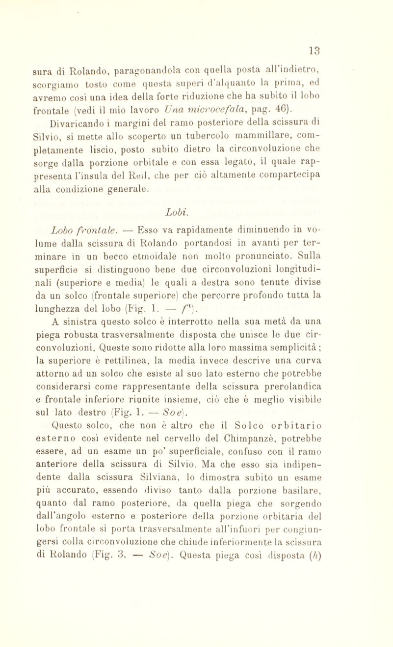 sura di Rolando, paragonandola con quella posta aH’indietro, scorgiamo tosto come (juesta superi <1 alquanto la prima, ed avremo cosi una idea della torte riduzione che ha subito il lobo frontale (vedi il mio lavoro Una niicvacefala, [lag. 46). Divaricando i margini del ramo posteriore della scissura di Silvio, si mette allo scoperto un tubercolo mammillare, com¬ pletamente liscio, posto subito dietro la circonvoluzione che sorge dalla porzione orbitale e con essa legato, il quale rap¬ presenta l’insula del Reil, che per ciò altamente compartecipa alla condizione generale. Lobi. Lobo frontale. — Esso va rapidamente diminuendo in vo¬ lume dalla scissura di Rolando portandosi in avanti per ter¬ minare in un becco etmoidale non molto pronunciato. Sulla superfìcie si distinguono bene due circonvoluzioni longitudi¬ nali (superiore e media) le quali a destra sono tenute divise da un solco (frontale superiore) che percorre profondo tutta la lunghezza del lobo (Fig. 1. — P). A sinistra questo solco è interrotto nella sua metà da una piega robusta trasversalmente disposta che unisce le due cir¬ convoluzioni. Queste sono ridotte alla loro massima semplicità ; la superiore è rettilinea, la media invece descrive una curva attorno ad un solco che esiste al suo lato esterno che potrebbe considerarsi come rappresentante della scissura prerolandica e frontale inferiore riunite insieme, ciò che è meglio visibile sul lato destro (Fig. 1. — So e). Questo solco, che non è altro che il Solco orbitario esterno cosi evidente nel cervello del Chimpanzè, potrebbe essere, ad un esame un po’ superfìciale, confuso con il ramo anteriore della scissura di Silvio. Ma che esso sia indipen¬ dente dalla scissura Silviana, lo dimostra subito un esame più accurato, essendo diviso tanto dalla porzione basilare, quanto dal ramo posteriore, da quella piega che sorgendo dall’angolo esterno e posteriore della porzione orbitaria del lobo frontale si porta trasversalmente aH’infuori per congiun¬ gersi Colla circonvoluzione che chiude inferiormente la scissura di Rolando (Fig. 3. — So e). Questa piega cosi disposta [h)