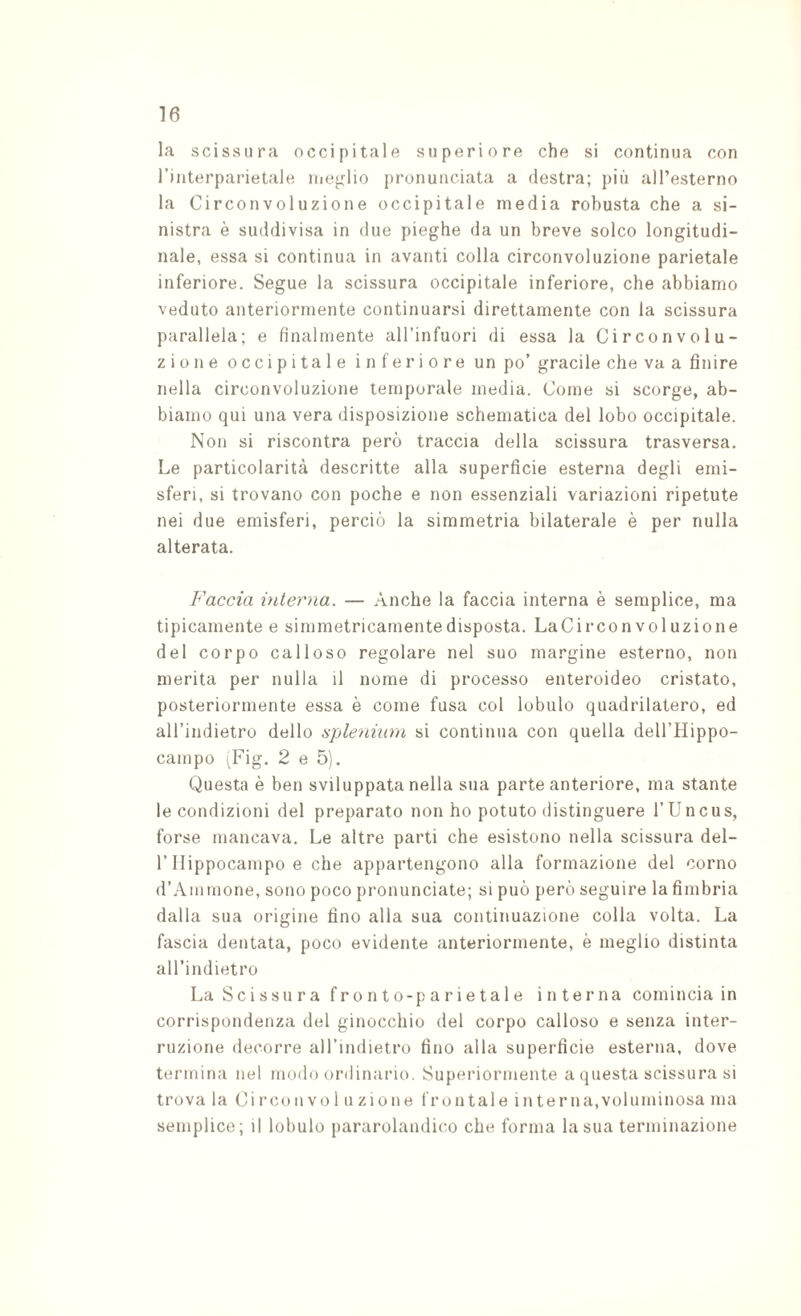 la scissura occipitale superiore che si continua con rinterparietale ineglio pronunciata a destra; più aH’esterno la Circonvoluzione occipitale media robusta che a si¬ nistra è suddivisa in due pieghe da un breve solco longitudi¬ nale, essa si continua in avanti colla circonvoluzione parietale inferiore. Segue la scissura occipitale inferiore, che abbiamo veduto anteriormente continuarsi direttamente con la scissura parallela; e finalmente all’infuori di essa la Circonvolu¬ zione occipitale inferiore un po’ gracile che va a finire nella circonvoluzione temporale media. Come si scorge, ab¬ biamo qui una vera disposizione schematica del lobo occipitale. Non si riscontra però traccia della scissura trasversa. Le particolarità descritte alla superfìcie esterna degli emi¬ sferi, si trovano con poche e non essenziali variazioni ripetute nei due emisferi, perciò la simmetria bilaterale è per nulla alterata. Faccia bilerna. — Anche la faccia interna è semplice, ma tipicamente e simmetricamentedisposta. LaCirconvoluzione del corpo calloso regolare nel suo margine esterno, non merita per nulla il nome di processo enteroideo cristato, posteriormente essa è come fusa col lobulo quadrilatero, ed aH’indietro dello spleniiiru si continua con quella dell’Hippo- campo ^Fig. 2 e 5). Questa è ben sviluppata nella sua parte anteriore, ma stante le condizioni del preparato non ho potuto distinguere l’Uncus, forse mancava. Le altre parti che esistono nella scissura del- r Ilippocampo e che appartengono alla formazione del corno d’Aintnone, sono poco pronunciate; si può però seguire la fimbria dalla sua origine fino alla sua continuazione colla volta. La fascia dentata, poco evidente anteriormente, è meglio distinta all’indietro La Scissura fronto-p arietale interna comincia in corrispondenza del ginocchio del corpo calloso e senza inter¬ ruzione decorre all’indietro fino alla superficie esterna, dove termina nel modo ordinario. Superiormente a questa scissura si trova la Circ.onvol u zione frontale interna,voluminosa ma semplice; il lobulo pararolandico che forma la sua terminazione