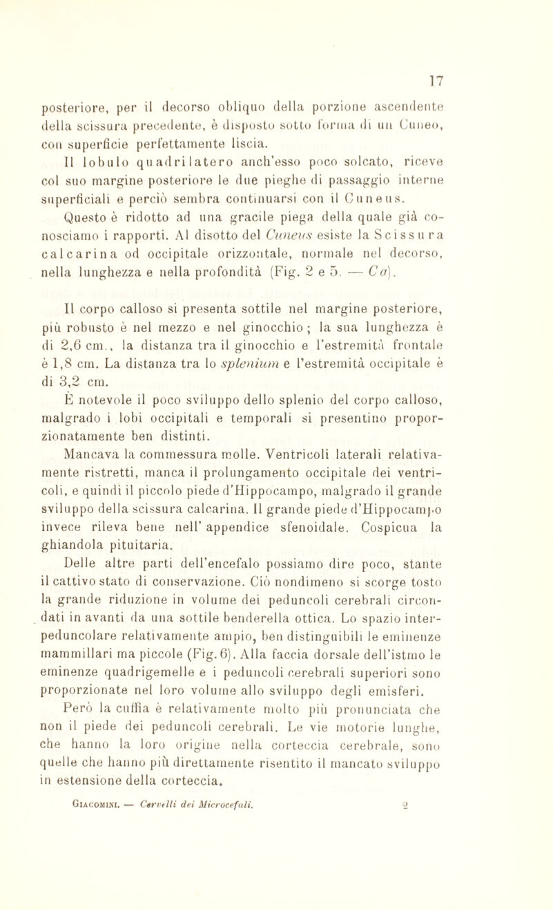 posteriore, per il decorso obliquo della porzione ascendente ilella scissura precedente, è disposto sotto forma di un Cuneo, con superficie perfettamente liscia. Il lobulo quadrilatero ancli’esso poco solcato, riceve col suo margine posteriore le due pieghe di passaggio interne superficiali e perciò sembra continuarsi con il Cuneus. Questo è ridotto ad una gracile piega della quale già co¬ nosciamo i rapporti. Al disotto del Cuneus esiste la Scisso ra cale arili a od occipitale orizzontale, normale nel decorso, nella lunghezza e nella profondità (Fig. 2 e 5, — Co). Il corpo calloso si presenta sottile nel margine posteriore, più robusto è nel mezzo e nel ginocchio; la sua lunghezza è di 2,6 cm., la distanza tra il ginocchio e l’estremità frontale è 1,8 cm. La distanza tra lo splenium e l’estremità occipitale è di 3,2 cm. E notevole il poco sviluppo dello splenio del corpo calloso, malgrado i lobi occipitali e temporali si presentino propor¬ zionatamente ben distinti. Mancava la commessura m.olle. Ventricoli laterali relativa¬ mente ristretti, manca il prolungamento occipitale dei ventri¬ coli, e quindi il piccolo piede d’Hippocampo, malgrado il grande sviluppo della scissura calcarina. Il grande piede d’Hippocampo invece rileva bene nell’ appendice sfenoidale. Cospicua la ghiandola pituitaria. Delle altre parti dell’encefalo possiamo dire poco, stante il cattivo stato di conservazione. Ciò nondimeno si scorge tosto la grande riduzione in volume dei peduncoli cerebrali circon¬ dati in avanti da una sottile benderella ottica. Lo spazio inter- peduncolare relativamente ampio, beti distinguibili le eminenze mammillari ma piccole (Fig.6). Alla faccia dorsale dell’istmo le eminenze quadrigemelle e i peduncoli cerebrali superiori sono proporzionate nel loro volume allo sviluppo degli emisferi. Però la cuffia è relativamente molto piii pronunciata che non il piede dei peiluncoli cerebrali. Le vie motorie lunghe, che hanno la loro origine nella corteccia cerebrale, sono quelle che hanno più direttamente risentito il mancato sviluppo in estensione della corteccia. GiACOMiNl. — Cérvtlli dei Microcefali.