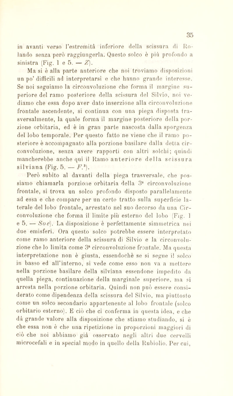 in avanti verso restreniità inferiore della scissura di Ro¬ lando senza però raggiungerla. Questo solco è più profondo a sinistra (Fig. 1 e 5. — Z). Ma si è alla parte anteriore che noi troviamo disposizioni un po’ diffìcili ad interpretarsi e che hanno grande interesse. Se noi seguiamo la circonvoluzione che forma il margine su¬ periore del ramo posteriore della scissura del Silvio, noi ve¬ diamo che essa dopo aver dato inserzione alla circonvoluzione frontale ascendente, si continua con una piega disposta tra¬ sversalmente, la quale forma il margine posteriore della por¬ zione orbitaria, ed è in gran parte nascosta dalla sporgenza del lobo temporale. Per questo fatto ne viene che il ramo po¬ steriore è accompagnato alla porzione basilare dalla detta cir¬ convoluzione, senza avere rapporti con altri solchi; quindi mancherebbe anche qui il Ramo anteriore della scissura silviana (Fig. 5. — F.^). Però subito al davanti della piega trasversale, che pos¬ siamo chiamarla porzione orbitaria della 3“ circonvoluzione frontale, si trova un solco profondo disposto parallelamente ad essa e che compare per un certo tratto sulla superficie la¬ terale del lobo frontale, arrestato nel suo decorso da una Cir¬ convoluzione che forma il limite più esterno del lobo (Fig. 1 e 5. — So e). La disposizione è perfettamente simmetrica nei due emisferi. Ora questo solco potrebbe essere interpretato come ramo anteriore della scissura di Silvio e la circonvolu¬ zione che lo limita come S® circonvoluzione frontale. Ma questa interpretazione non è giusta, essendoché se si segue i! solco in basso ed aH’interno, si vede come esso non va a mettere nella porzione basilare della silviana essendone impedito da quella piega, continuazione della marginale superiore, ma si arresta nella porzione orbitaria. Quindi non può essere consi¬ derato come dipendenza della scissura del Silvio, ma piuttosto come un solco secondario appartenente al lobo frontale (solco orbitario esterno). E ciò che ci conferma in questa idea, e che dà grande valore alla disposizione che stiamo studiando, si è che essa non è che una ripetizione in proporzioni maggiori di ciò che noi abbiamo già osservato negli altri due cervelli microcefali e in special modo in quello della Rubidio. Per cui.