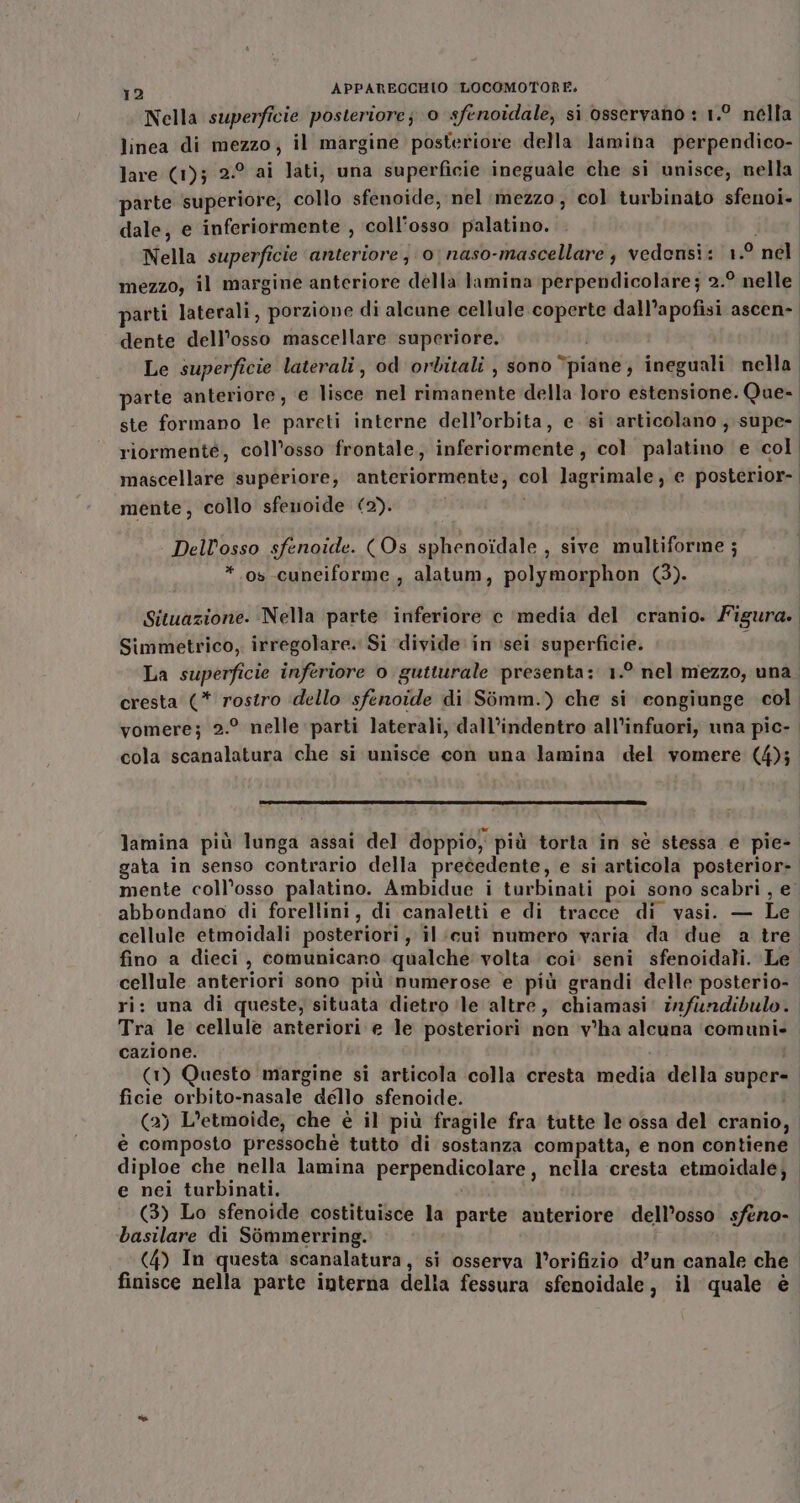 Nella superficie posteriore; 0 sfenoidale, si osservano : 1.° nella. linea di mezzo; il margine posteriore della lamiha perpendico- lare (1); 2.° ai lati, una superficie ineguale che si unisce, nella parte superiore, collo sfenoide, nel mezzo, col turbinato sfenoi. dale, e inferiormente , coll'osso palatino. i Nella superficie anteriore; 0 naso-mascellare ; vedensi: 1.9 nel mezzo, il margine anteriore della lamina perpendicolare ; 2.° nelle parti laterali, porzione di alcune cellule coperte dall’apofisi ascen- dente dell'osso mascellare superiore. Le superficie laterali, od orbitali , sono “piane, ineguali nella. parte anteriore, ‘e lisce nel rimanente della loro estensione. Que-. ste formano le pareti interne dell’orbita, e. si articolano, supe». riormenté, coll’osso frontale, inferiormente, col palatino e col mascellare supériore, anteriormente; col lagrimale, e posterior- mente, collo sfenoide (2). Dellosso sfenoide. (Os sphenoidale , sive multiforme ; *.os cuneiforme , alatum, polymorphon (3). Situazione. Nella parte inferiore c ‘media del cranio. Figura. Simmetrico, irregolare. Si divide in sei superficie. N La superficie inferiore o gutturale presenta: 1.° nel mezzo, una. cresta (* rostro ‘dello sfenoide di Simm.) che si congiunge col. vomere; 2.° nelle parti laterali, dall’indentro all'infuori, una pic- cola scanalatura che si unisce con una lamina del vomere (4); lamina più lunga assai del doppio, più torta in se stessa e pie- gata in senso contrario della precedente, e si articola posterior= mente coll’osso palatino. Ambidue i turbinati poi sono scabri, e abbondano di forellini, di canaletti e di tracce di vasi. — Le. cellule etmoidali posteriori, il:cui numero varia da due a tre. fino a dieci, comunicano qualche volta coi. seni sfenoidali. Le. cellule anteriori sono più ‘numerose e più grandi delle posterio- ri: una di queste; situata dietro ile altre, chiamasi: infundibulo. Tra le cellule anteriori e le posteriori non v°ha alcuna ‘comuni» cazione. i (1) Questo margine si articola colla cresta media della super» ficie orbito-nasale dello sfenoide. (2) L’etmoide, che è il più fragile fra tutte le ossa del cranio, è composto pressoché tutto di sostanza compatta, e non contiene diploe che nella lamina perpendicolare, nella ‘cresta etmoidale; e nei turbinati. | (3) Lo sfenoide costituisce la parte anteriore dell’osso sfeno- basilare di Sommerring. (4) In questa scanalatura, si osserva l’orifizio d’un canale che finisce nella parte interna della fessura sfenoidale, il quale è