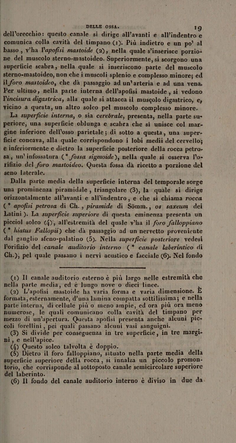 dell’orecchio: questo canale. si dirige all’avanti e. all’indentro e comunica colla cavità del timpano (1). Più indietro e un po’ al basso, v'ha l’apofisi mastoide (2); nella quale s'inserisce porzio+ ne del muscolo sterno-mastoideo. Superiormente, si scorgono una superficie scabra, nella quale si inseriscono. parte del muscolo ‘ sterno-mastoideo, non che i muscoli splenio e complesso minore; ed il foro mastoideo, che dà passaggio ad un’arteria e ad una vena. Per ultimo, nella parte interna dell’apofisi mastoide , si vedono l'incisura digastrica, alla quale si attacca il musgolo digastrico, e; vicino a questa, un altro solco pel muscolo complesso minore. La superficie interna, o sia cerebrale, presenta, nella parte su- | periore, una, superficie \oblunga e scabra che si unisce col mar- | gine inferiore dell’osso. parietale ; di sotto a questa, una super- ‘ ficie concava, alla quale corrispondono i lobi medii del cervello; e inferiormente e dietro la superficie posteriore della rocca petro- sa; un infossatura (* fossa sigmoide), nella quale si osserva l’o- rifizio del foro mastoideo. Questa fossa dà ricetto a porzione del | seno laterale. Dalla parte media della superficie interna del temporale sorge una prominenza piramidale , triangolare (3), la quale sì dirige orizzontalmente all’avanti e: all’indentro , e che si chiama rocca (* apofisi petrosa di Ch. piramide di Simm., os sareum dei Latini ). La superficie superiore di questa eminenza presenta un picciol solco (4) all'estremità del quale v'ha il foro fulloppiano (* hiatus Fallopit) che dà passaggio ad un nervetto proveniente dal ganglio sfeno-palatino (5). Nella superficie posteriore vedesi l'orifizio del canale ‘auditorio interno (* canale laberintico di Gh.), pel quale passano i nervi acustico e facciale (6). Nel fondo (1) Il canale auditorio esterno è più largo nelle estremità che nella parte media, ed è lungo nove o dieci linee. i (2) L’apofisi mastoide ha varia forma e varia dimensione. È formata, esternamente, d’una lamina compatta sottilissima; e nella parte interna, di cellule più o meno ampie, ed ora più ora meno numerose, le quali comunicano colla cavità del timpano per mezzo di un'apertura. Questa apofisi presenta anche alcuni pic- coli forellini, pei quali passano alcuni vasi sanguigni. i (3) Si divide per conseguenza in tre superficie, in tre margi- ni, e nell’apice. (4) Questo solco talvolta è doppio. | ; (5) Dietro il foro falloppiano, situato nella parte media della superficie superiore della rocca, si innalza un piccolo promon- torio, che corrisponde al sottoposto canale semicircolare superiore del laberinto. PL |