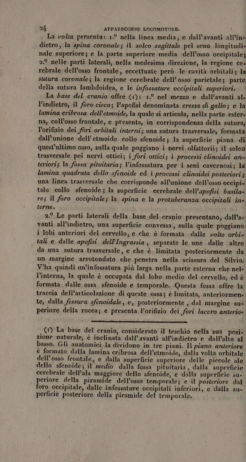 La volta presenta: 1.° nella linea media, e dall’avanti all’in- dietro, la spina coronale; il solco sagittale pel seno longitudi- nale superiore; e la parte superiore media dell’osso occipitale; 2.° nelle parti laterali, nella medesima direzione, la regione ce- rebrale dell’osso frontale, eccettuate però le cavità orbitali ;-la sutura coronale; la regione cerebrale dell’ osso parietale; parte della sutura lambdoidea, e le infossature occipitali superiori. La base del cranio offre (1): 1.° nel mezzo e dall’avanti al- l’indietro, il foro cieco; l’apofisi denominata cresta di gallo; e la lamina cribrosa dell’etmoide, la quale si articola, nella parte ester- na, coll’osso frontale, e presenta, in corrispondenza della sutura; l’orifizio dei fori orbitali interni; una sutura trasversale; formata | dall'unione dell'etmoide collo sfenoide; la superficie piana di quest’ultimo osso, sulla quale poggiano i nervi olfattorii; il solco trasversale pei nervi ottici; i fori ottici; i processi clinoidei an- teriori; la fossa pituitaria; V’infossatura per i seni cavernosi; la lamina quadrata dello sfenoide edi processi clinoidei posteriori ; una linea trasversale che corrisponde all’unione dell’osso occipi- tale collo sfenoide; la superficie cerebrale dell’apofisi basila- res il foro occipitale; la spina e la protuberanza occipitali in- terne. 2.° Le parti laterali della base del cranio presentano, dall’a- vanti all’indietro, una superficie convessa, sulla quale poggiano i lobi anteriori del cervello, e che è formata dalle volte orbi- tali e dalle apofisi. dell’Ingrassia; separate le une dalle altre da una sutura trasversale, e che è limitata posteriormente da un margine arrotondato che penetra nella scissura del. Silvio. V'ha quindi un’infossatura più larga nella parte esterna che nel- l’interna, la quale è occupata dal lobo medio del cervello, ed è formata dalle ossa sfenoide e temporale. Questa fossa offre Ja traccia dell’articolazione di queste ossa; è limitata, anteriormen- te, dalla fessura sfenoidale, e, posteriormente , dal margine su- periore della rocca; e presenta V’orifizio dei fori lacero anterio» (1) La base del cranio, considerato il teschio nella sua posi- zione naturale, è inclinata dall’avanti all’indietro e dall’alto al basso. Gli anatomici la dividono in tre piani. Il piano anteriore è formato dalla lamina cribrosa dell’etmoide, dalla volta orbitale dell'osso frontale, e dalla superficie superiore delle piccole ale dello sfenoide; il medio dalla fossa pituitaria, dalla superficie cerebrale dell'ala maggiore dello sfenoide, e dalla superficie su- periore della piramide dell’osso temporale; e il posteriore dal foro occipitale, dalle infossature occipitali inferiori, e ‘dalla su- perficie posteriore della piramide del temporale.