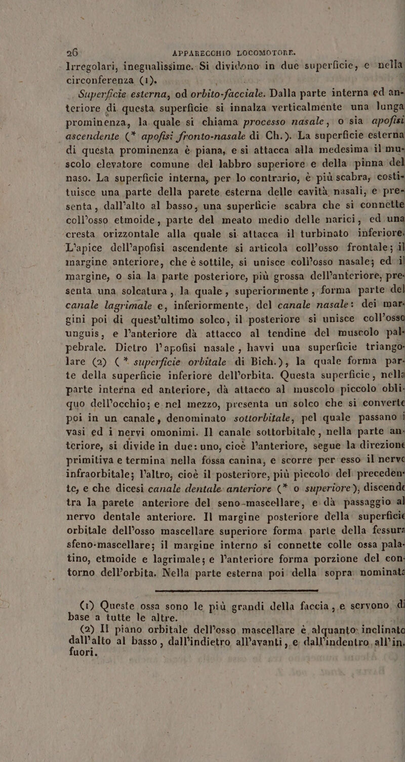 lrregolari, inegualissime. Si dividono in due superficie, e nella circonferenza (1). | Superficie esterna, od orbito solai Dalla parte interna ed an- teriore di. questa superficie si innalza verticalmente una lunga prominenza, la quale si chiama processo nasale, o sia apofisi | ascendente (* apofisi fronto-nasale di Ch.). La superficie esterna di questa prominenza è piana, e si attacca alla medesima il mu: scolo elevatore comune del labbro superiore e della pinna del naso. La superficie interna, per lo contrario, è più scabra; costi» tuisce una parte della parete esterna delle cavità nasali, e pre- senta, dall’alto al basso, una superficie scabra che si connette coll’osso etmoide, parte del meato medio delle narici, ed. una cresta ibi, alla quale si attacca il turbinato inferiore: L'apice dell’apofisi ascendente si articola coll’osso frontale; il imargine anteriore, che è sottile, si unisce colì’osso nasale; ed il margine, o sia la parte posteriore, più grossa dell’anteriore; pre: senta una solcatura ,. la quale, superiormente ; forma parte del canale lagrimale e, inferiormente, del canale nasale: dei mar. gini poi di quest’ultimo solco, il posteriore sì unisce coll’ossa unguis, e l’anteriore dà attacco al tendine del muscolo pal pebrale. Dietro l’apofisi nasale , havvi una superficie triango: lare (2) (* superficie orbitale di Bich.), la quale forma par: te della superficie inferiore dell’orbita. Questa superficie, nella parte interna ed anteriore, dà attacco al. muscolo piccolo obli. quo dell’occhio; e. nel mezzo, presenta un solco che si converte poi in un canale, denominato sottorbitale, pel quale passano .i vasi ed i nervi omonimi. Il canale sottorbitale , nella parte an: teriore, si divide in due: uno, cicè l'anteriore, segue la direzione primitiva e termina nella fossa canina, e scorre per esso il nerve infraorbitale; l’altro; cioè il posteriore, più piccolo del preceden: te, e che dicesi canale dentale: anteriore (* o superiore), discende tra la parete anteriore del seno-mascellare, e dà passaggio al nervo dentale anteriore. Il margine posteriore della superficie orbitale dell’osso mascellare superiore forma. parie della fessurà sfeno-mascellare; il margine interno si connette colle ossa pala. tino, etmoide e lagrimale; e l’anteriore forma porzione del con torno dell’orbita. Nella parte esterna poi della sopra. nominali (1) Queste ossa sono le più grandi della faccia, e servono, d base a tutte le altre. (2) II piano orbitale dell’osso, mascellare è alquanto» inclinata DOO al basso, dall’indietro all’avanti,.e dall’indentro, all'in. uori.