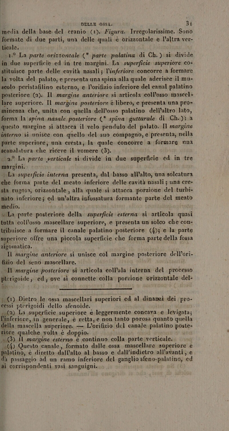 ‘media della base. del cranio (1). Figura. Irregolarissime. Sono formate di due parti, una delle quali è orizzontale e l’altra ver- ticale. 11:° La parte orizzontale (* parte palatina di Ch.) si divide in due superficie ed in tre margini. La superficie superiore co- stituisce parte delle cavità nasali; l’inferiore concorre a formare la volta del palato, e presenta una spina alla quale aderisce il mu- scolo peristafilino esterno, e. l’orifizio inferiore del canal palatino posteriore (2). Il margine anteriore si articola coll’osso mascel- lare superiore. Il margine posteriore è libero, e presenta una pro» minenza che, unita con quella dell’osso palatino dell'altro lato, forma la ‘spina nasale posteriore (* spina gutturale di Ch.) a questo margine si attacca il velo pendulo del palato. Il margire interno si unisce con quello del. suo compagno, e presenta, nella parte superiore; una cresta, la. quale. concorre a formare una scanalatura «che riceve il vomere (3). 2.:° La .parte verticale si divide in due superficie ed in tre margini. i La superficie interna presenta, dal basso all’alto, una solcatura che forma parte del meato inferiore delle cavità nasali ; una cre- sta rugosa, orizzontale, alla quale si attacca porzione del turbi- nato inferiore; ed un’altra infossatura formante parte del meato medio. «La parte posteriore della superficie esterna si articola quasi tutta ‘coll’osso mascellare superiore, e presenta un solco che con- tribuisce a formare il canale palatino posteriore (4)3 e la. parte superiore offre una piccola superficie che forma parte della fossa zigomatica. Il margine anteriore sì unisce col margine posteriore dell’ori- fizio del seno mascellare. “Il margine posteriore si articola coll’ala interna del processo pterigoide ; ed; ove si connette colla porzione orizzontale del- (1) Dietro le ossa mascellari superiori ed al dinanzi dei pro- cessi ptcrigoidi dello sfenoide. (2) La superficie superiore è leggermente concava. e levigata; l’inferiore,.in generale, .é retta, e non tanto porosa quanto quella della mascella superiore. — L’orifizio del canale. palatino poste- riore qualche volta è doppio. di (3) Al margine esterno è continuo colla parte verticale. (4) Questo canale, formato dalle ossa mascellare superiore e palatino; è diretto dall'alto al basso e dall’indietro all’avanti, e dà passaggio ad un ramo inferiore del ganglio sfeno-palatino, ed ai corrispondenti, vasi sanguigni.