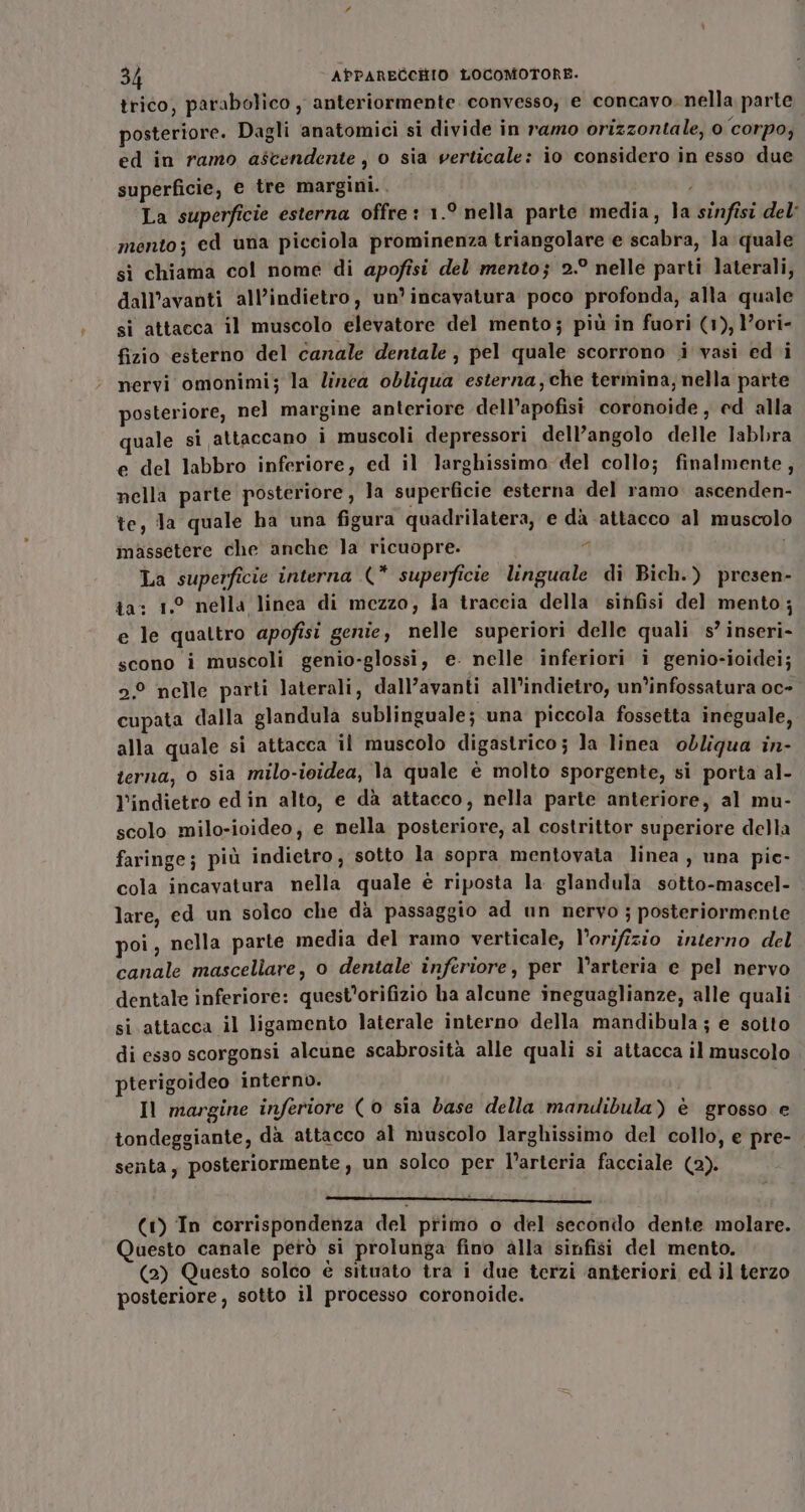 trico, parabolico , anteriormente. convesso; e concavo. nella parte posteriore. Dagli anatomici si divide in ramo orizzontale, 0 corpo; ed in ramo ascendente, o sia verticale: io considero in esso due superficie, e tre margini.. La superficie esterna offre: 1.° nella parte media, la sinfisi del: mento; ed una picciola prominenza triangolare e scabra, Ja quale sì chiama col nome di apofisi del mento; 2.° nelle parti laterali, dall’avanti all’indietro, un’ incavatura poco profonda, alla quale si attacca il muscolo elevatore del mento; più in fuori (1), ’ori- fizio esterno del canale dentale, pel quale scorrono i vasi edi nervi omonimi; la linea obliqua esterna,che termina, nella parte posteriore, nel margine anteriore dell’apofisi coronoide, ed alla uale si attaccano i muscoli depressori dell’angolo delle labbra e del labbro inferiore, ed il larghissimo del collo; finalmente, nella parte posteriore, la superficie esterna del ramo ascenden- te, la quale ha una figura quadrilatera, e dà attacco al muscolo massetere che anche la ricuopre. i La superficie interna (* superficie linguale di Bich.) presen- ta: 1.° nella linea di mezzo, Ja traccia della sinfisi del mento; e le quattro apofisi genie, nelle superiori delle quali s° inseri- scono i muscoli genio-glossi, e. nelle inferiori i genio-ioidei; 2° nelle parti laterali, dall’avanti all’indietro, un’infossatura oc- cupata dalla glandula sublinguale; una piccola fossetta ineguale, alla quale si attacca il muscolo digastrico; la linea obliqua in- terna, 0 sia milo-ividea, la quale è molto sporgente, si porta al- l’indietro ed in alto, e dà attacco, nella parte anteriore, al mu- scolo milo-ioideo, e nella posteriore, al costrittor superiore della faringe; più indietro, sotto la sopra mentovata linea , una pic- cola incavatura nella quale è riposta la glandula sotto-mascel- lare, ed un solco che dà passaggio ad un nervo ; posteriormente poi, nella parte media del ramo verticale, l’orifizio interno del canale mascellare, o dentale inferiore, per l'arteria e pel nervo dentale inferiore: quest’orifizio ha alcune ineguaglianze, alle quali si attacca il ligamento laterale interno della mandibula ; e sotto di esso scorgonsi alcune scabrosità alle quali si attacca il muscolo pterigoideo interno. Il margine inferiore (0 sia base della mandibula) è grosso e tondeggiante, dà attacco al muscolo larghissimo del collo, e pre- senta, posteriormente, un solco per l'arteria facciale (2). A (1) In corrispondenza del primo o del seconilo dente molare. Questo canale però si prolunga fino alla sinfisi del mento. (2) Questo solco è situato tra i due terzi ‘anteriori ed il terzo posteriore, sotto il processo coronoide.