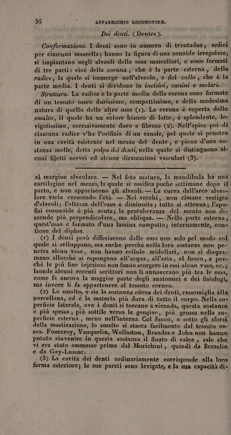 Dei denti. ( Dentes). Conformazione. I denti sono in numero di trentadue; sedici per ciascuna mascella; hanno la figura di una conoide irregolare; si impiantano negli ‘alveoli delle ossa mascellari, e sono formati di tre parti: cioè della cororia ; ché è la parte esterna, della radice, la quale si immerge ‘nell’alveolo, e del collo , che è la parte media. I denti si dividono in incisivi, canini e molari. Struttura. La radice e la parte media della corona sono formate di un tessuto osseo durissimo, compattissimo, e della medesima natura di quéllo delle altre ossa (1). La corona è coperta dallo smalto, il quale ha un colore bianco di latte, è splendente, Je- vigatissimo, eccessivamente duro e fibroso (2). Nell’apice poi di ciascuna radice vha lorifizio di un canale, pel quale sì penetra in una cavità esistente nel mezzo del dente, e piena d’una-so- stanza molle, detta polpa dei denti; nella quale si distinguono al- cuni filetti nervei ed alcune diramazioni vasculari (3). al margine alveolare. — Nel feto maturo, Ia mandibula ha una cartilagine nel mezzo, la quale si ossifica poche settimane dopo il parto, e non appariscono gli alveoli. — La curva dell’arco alveo- lare varia. crescendo l’età. — Nei vecchi, non rimane. vestigio dalveoli; l’altezza dell’osso.è diminuita ; tutto si attenua; l’apo- fisi coronoide è più acuta; la protuberanza del. mento non di- scende più perpendicolare,.ma obliqua. —:Nella parte esterna; quest’psso è formato d’una lamina compatta; internamente, con- tiene del diploe. . (1) I denti però differiscono dalle ossa non solo pel modo. col quale sì sviluppano, ma anche perchè nella loro sostanza non pe- netra alcun vaso, non hanno cellule midollari, non si disqua- mano allorché si espongono alPacqua, all'aria, al fuoco, .e per- ché le più fine injezioni non fanno scorgere in essi alcun .vaso, ec.; laonde alcuni recenti scrittori non li annoverano più tra le ossa, come fa ancora la maggior parte degli anatomici e dei fisiologi, ma invece li fa appartenere al tessuto corneo. (2) Lo smalto, © sia la sostanza vitrea dei denti, rassomiglia alla porcellana, ed è la materia più dura di tutto il corpo. Nella su» perficie laterale, ove i denti si toccano a vicenda; questa sostanza è più spessa, più sottile verso le gengive, più grossa nella su-. perficie esterna , meno nell’interna. Col fuoco, o sotto gli sforzi della masticazione, lo smalto si stacca facilmente dal tessuto 0s- seo. Fourcroy, Vauquelin, Wollaston, Brandes e John non hanno potuto rinvenire in questa sostanza il fluato di calce, sale che vi era stato ammesso prima dal Morichini, quindi da Berzelio e da Gay-Lussac. (3) La cavità dei denti ordinariamente eorrisponde alla loro forma esteriore; le sue pareti sono levigate; e Ja sua capacità di-