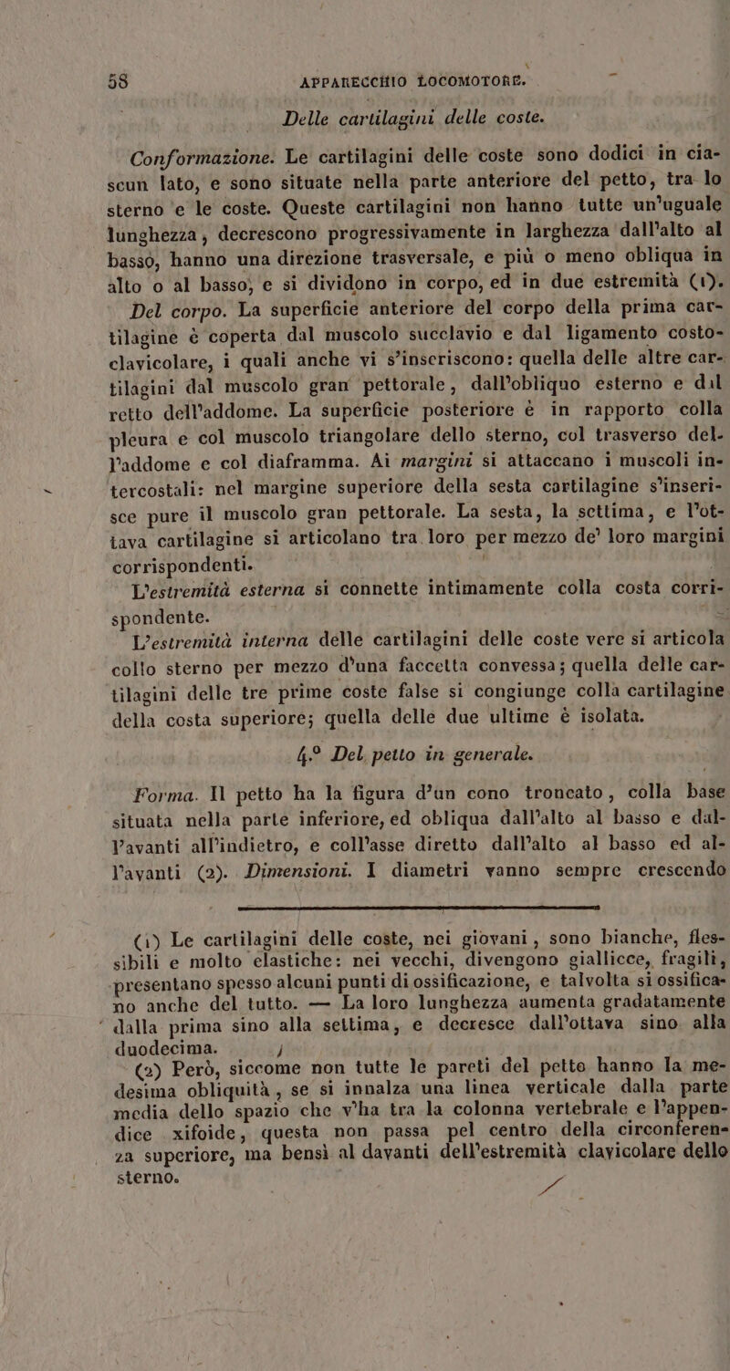 ai 55 APPARECCHIO LOCOMOTORE. Delle cartilagini delle coste. Conformazione. Le cartilagini delle coste sono dodici in cia- scun lato, e sono situate nella parte anteriore del petto, tra lo sterno ‘e le coste. Queste cartilagini non hatino tutte un'uguale lunghezza; decrescono progressivamente in larghezza dall'alto al basso, hanno una direzione trasversale, e più o meno obliqua in alto o al basso) e si dividono in corpo, ed in due estremità (1). Del corpo. La superficie anteriore del corpo della prima car- tilagine è coperta dal muscolo succlavio e dal ligamento costo- clavicolare, i quali anche vi s'inseriscono: quella delle altre car- tilagini dal muscolo gran pettorale, dall’obliquo esterno e dal retto dell'addome. La superficie posteriore è in rapporto. colla pleura e col muscolo triangolare dello sterno, col trasverso del. l'addome e col diaframma. Ai margini si attaccano i muscoli in- tercostali: nel margine superiore della sesta cartilagine s°inseri- sce pure il muscolo gran pettorale. La sesta, la settima, e l’ot- lava cartilagine si articolano tra loro per mezzo de’ loro margini corrispondenti. L’estremità esterna st connette intimamente colla costa corri- spondente. ui L’estremità interna delle cartilagini delle coste vere si articola collo sterno per mezzo d'una faccetta convessa; quella delle car- tilagini delle tre prime coste false si congiunge colla cartilagine. della costa superiore; quella delle due ultime è isolata. 4° Del, petto in generale. Forma. Il petto ha la figura d’un cono troncato, colla base situata nella parte inferiore, ed obliqua dall’alto al basso e dal- Vavanti all'indietro, e coll’asse diretto dall’alto al basso ed al- Vavanti (2). Dinzensioni. I diametri vanno sempre crescendo —ErREERRREEEBRRZGREBABMEEIEEEM-MME@EPE-EÉEEIE) (1) Le cartilagini delle coste, nci giovani, sono bianche, fles- sibili e molto elastiche: nei vecchi, divengono giallicce, fragili, ‘presentano spesso alcuni punti di ossificazione, e talvolta si ossifica- no anche del tutto. — La loro lunghezza aumenta gradatamente ‘ dalla prima sino alla settima, e decresce dall’otiava sino. alla duodecima. J (2) Però, siccome non tutte le pareti del petto hanno la me- desima obliquità, se si innalza una linea verticale dalla. parte media dello spazio che v'ha tra la colonna vertebrale e l’appen- dice xifoide, questa non passa pel centro della circonferen- za superiore, ma bensì al davanti dell’estremità clavicolare dello sterno. de;