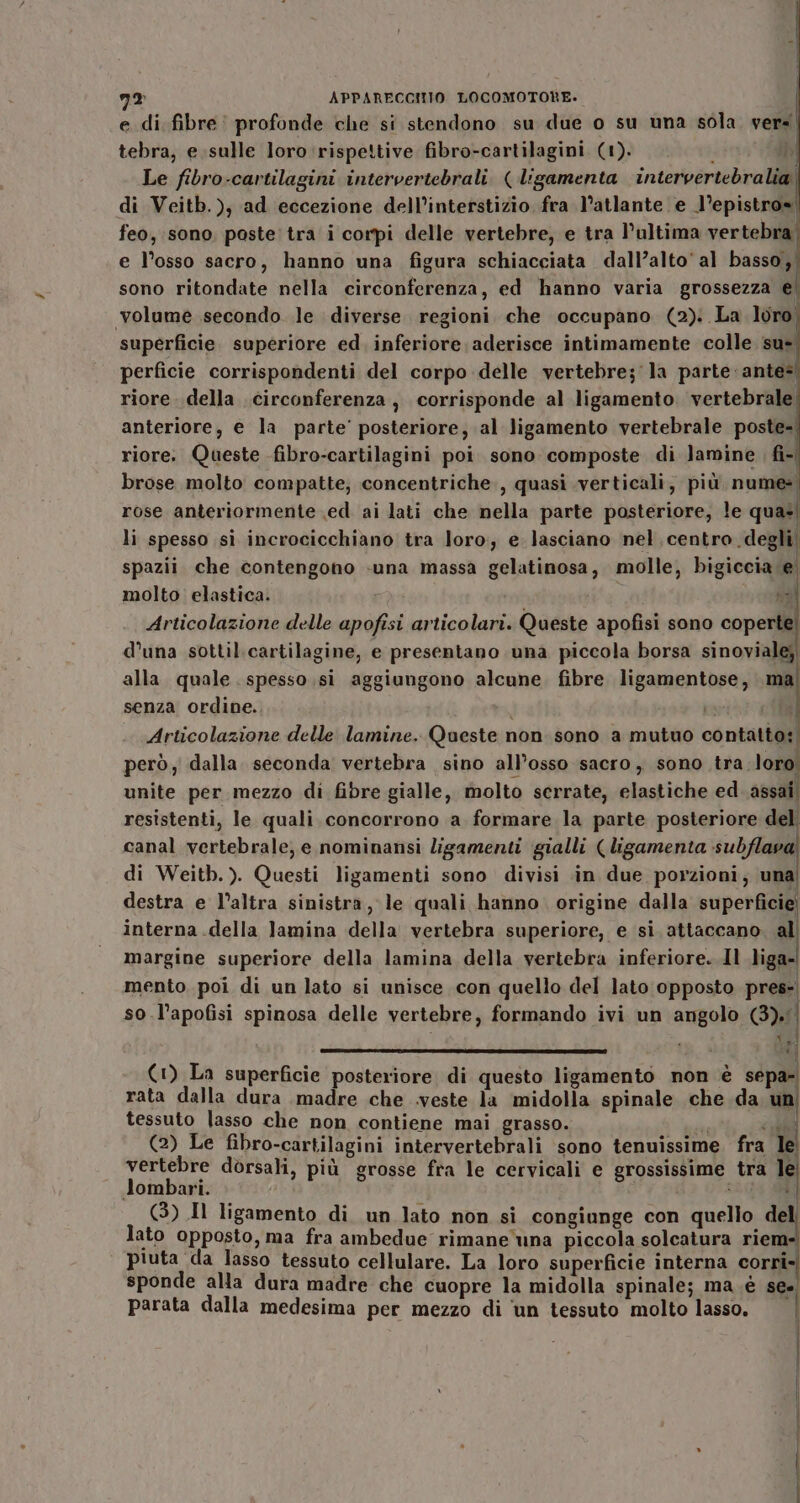 e di. fibre! profonde che si stendono su due o su una sola. vers tebra, e.sulle loro rispettive fibro-cartilagini (1). &gt; Le fibro-cartilagini intervertebrali. ( ligamenta intervertebralia di Veitb.), ad eccezione dell’interstizio, fra l’atlante e l’epistros| feo, sono, poste tra i corpi delle vertebre, e tra l’ultima vertebra! e l’osso sacro, hanno una figura schiacciata dall’alto'al basso, sono ritondate nella circonferenza, ed hanno varia grossezza e) volume secondo le diverse regioni che occupano (2): La loro, superficie. superiore ed. inferiore. aderisce intimamente colle. su perficie corrispondenti del corpo delle vertebre;'la parte: ante= riore. della. circonferenza, corrisponde al ligamento vertebrale anteriore, e la parte’ posteriore; al ligamento vertebrale poste- riore. Queste fibro-cartilagini poi. sono composte di lamine fi- brose molto compatte; concentriche., quasi verticali, più nume rose anteriormente ed. ai lati che nella parte posteriore, le qua: li spesso si incrocicchiano tra loro, e lasciano nel ‘centro degli; spazii che contengono «una massa gelatinosa, molle, bigiccia e molto elastica. noi Articolazione delle apofisi articolari. Queste apofisi sono coperte! d’una sottil.cartilagine, e presentano una piccola borsa sinoviale; alla quale. spesso si aggiungono alcune. fibre ligamentose, mai senza ordine. i rs tal Articolazione delle lamine. Queste non sono a mutuo contatto: però, dalla. seconda vertebra sino all’osso sacro, sono tra loro unite per mezzo di fibre gialle, molto serrate, elastiche ed sell resistenti, le quali concorrono a formare la parte posteriore del canal vertebrale, e nominansi ligamenti gialli (ligamenta subflaval di Weitb.). Questi ligamenti sono divisi in due porzioni; una destra e l’altra sinistra, le quali hanno. origine dalla superficie’ interna della Jamina della vertebra superiore, e si attaccano. all margine superiore della lamina della vertebra inferiore. Il liga-! mento poi di un lato si unisce con quello del lato opposto pres-, so l’apofisi spinosa delle vertebre, formando ivi un angolo (3). | à) î. dI (1) La superficie posteriore di questo ligamento non è sepa-: rata dalla dura madre che .veste la midolla spinale che da un tessuto lasso che non contiene mai grasso. &lt; rile (2) Le fibro-cartilagini intervertebrali sono tenuissime fra le vertebre dorsali, più grosse fra le cervicali e grossissime tra be lombari. (3) Il ligamento di un lato non si congiunge con quello n lato opposto, ma fra ambedue rimane'una piccola solcatura riem piuta da lasso tessuto cellulare. La loro superficie interna corri» sponde alla dura madre che cuopre la midolla spinale; ma.è see’ parata dalla medesima per mezzo di ‘un tessuto molto lasso. i