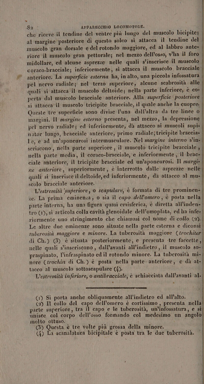 Jero che riceve il tendine del ventre più lungo del muscolo bicipite: | al margine posteriore di questo solco si attacca il tendine del - muscolo ‘gran dorsale e del rotondo maggiore, ed al labbro ante- riore il muscolo gran pettorale; nel mezzo dell’osso, v'ha il foro midollare, ed alcune asprezze nelle quali s'inserisce il muscolo | coraco-bracciale; inferiormente, si attacca il muscolo bracciale anteriore. La superficie esterna ha, in alto, una piccola infossatara | pel nervo radiale; nel terzo superiore, alcune scabrosità alle quali si attacca il muscolo deltoide; nella parte inferiore, è co- | perta dal muscolo bracciale anteriore. Alla superficie posteriore | si attacca il muscolo tricipite bracciale, il quale anche la cuopre. Queste tre superficie sono divise l’una dall’altra da tre linee o margini. Il margine esterno presenta, nel mezzo, la depressione pel nervo radiale; ed inferiormente; dà attacco ai muscoli supi-. nator lungo, bracciale anteriore, primo radiale;tricipite braccia- le, e ad un’aponeurosi intermusculare. Nel margine inverno Sin seriscono, nella parte superiore, il muscolo tricipite bracciale ; nella parte media, il coraco-bracciale, e inferiormente , il brac-. ciale anteriore, il tricipite bracciale ed un’aponeurosi. Il margi- ne atiteriore, superiormente, è interrotto dalle asprezze nelle | quali si inserisce il deltoide, ed inferiormente, dà attacco al mu-. scolo bracciale anteriore. | L’estremità ‘superiore, 0 scapulare, è formata di tre preme ze. La prima eminenza; o sia il capo dell’omero, e posta nella parte interna, ha una figura quasi emisferica, è diretta all’inden- tro (1), si articola colla cavità glenoidale dell’omoplata, ed ha infe-| riormente uno stringimento che chiamasi col nome di collo (2). Le altre duc eminenze sono situate nella parte esterna e diconsi | tuberosità maggiore e minore. La tuberosità maggiore ( trochiter| di Ch.) (3) è situata posteriormente, e presenta -tre faccette ,| nelle quali s'inseriscono , dall’avanti all’indietro , il muscolo so- | praspinato, l’infraspinato ed il rotondo minore. La tuberosità mi-) nore (trochin di Ch.) è posta nella parte. anteriore, c dà at-| tacco al muscolo sottoscapulare (4). b | L'estremità inferiore, o antibracciale, è schiacciata dall’avanti al-| (1) Si porta anche obliquamente all’indietro ed all'alto. (2) Il collo del capo dell’omero è cortissimo , presenta nella’ parte superiore, tra il capo e le tuberosità, un'infossatura, e si; unisce col corpo dell’osso formando col medesimo un angolo| molto ottuso. (3) Questa è tre volte più grossa della minore. (4) La scanalatura bicipitale è posta tra le due tuberosità. x