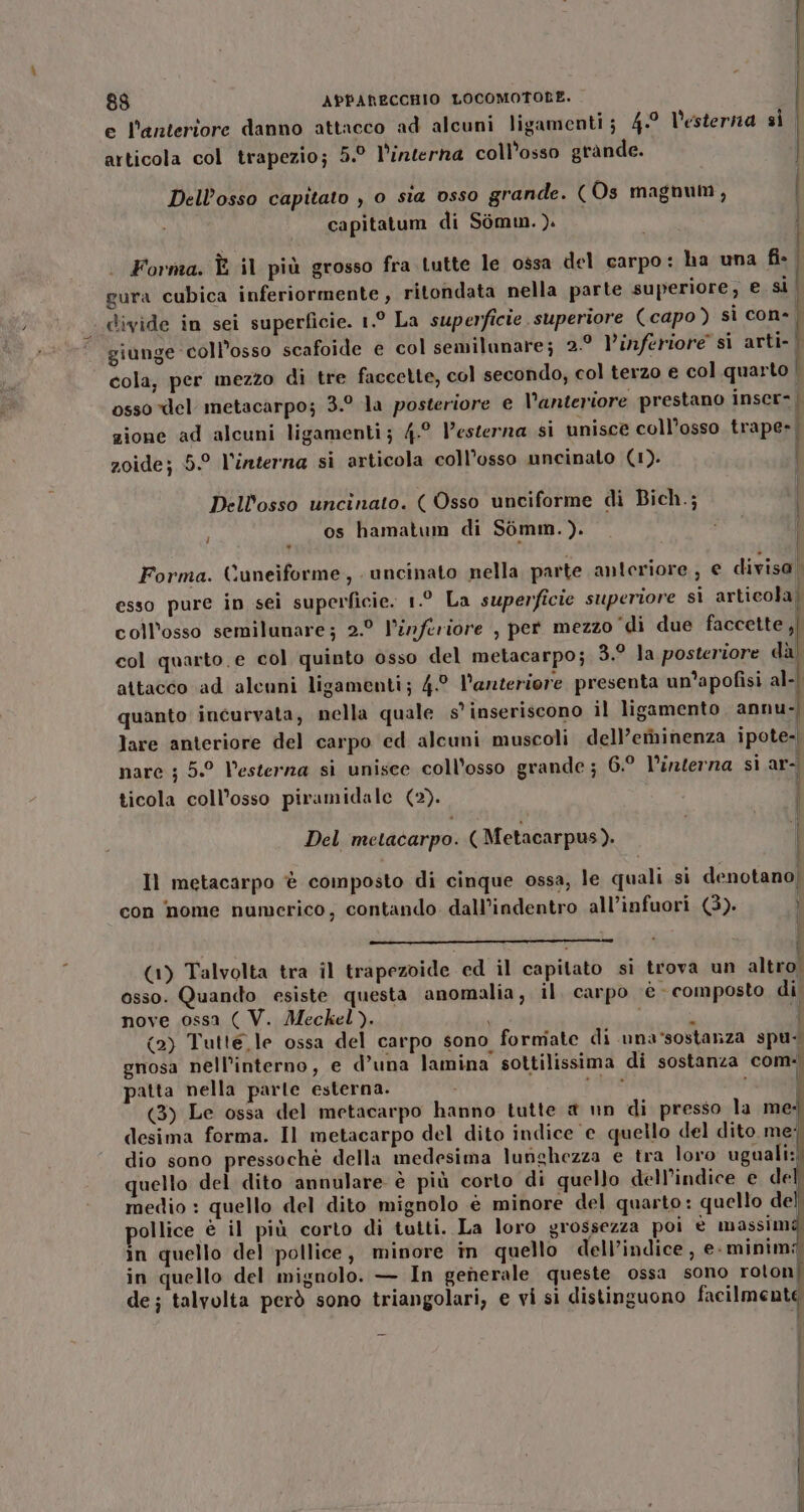 I | 88 APPARECCHIO LOCOMOTOLE. | e l’anteriore danno attacco ad alcuni ligamenti ; 4-0 l'esterna si articola col trapezio; 5.° l’interna coll’osso grande. | } Dell’osso capitato , o sia osso grande. (Os magnum P ) 8 ‘ 5 ? capitatum di Sòmm.). I LI | Forma. È il più grosso fra tutte le. ossa del carpo: ha una fi- | gura cubica inferiormente , ritondata nella parte superiore, e si . divide in sei superficie. t°La superficie superiore (capo ) sì cone. giunge coll’osso scafoide e col semilunare; 2° Vinferiore si arti-| cola, per mezzo di tre faccette, col secondo, col terzo e col quarto | osso del metacarpo; 3.° la posteriore e l'anteriore prestano inser- | zione ad alcuni ligamenti; 4° Pesterna si unisce coll’osso trape-| î zoide; 5° V'interna si articola coll’osso uncinato (1). Dellosso uncinato. ( Osso unciforme di Bich.; os hamatum di Somm.). a n | | Ì LI Forma. Cuneiforme , uncinato nella parte anteriore, € divisa esso pure in sei superficie. 1.° La superficie superiore sì articola. coll’osso semilunare; 2.° l’înferiore , pet mezzo ‘di due faccette ,| col quarto e col quinto osso del metacarpo; 3.9 la posteriore dà) attacco ad alcuni ligamenti; 4° Vanteriore presenta un’apofisi al-| quanto incurvata, nella quale s'inseriscono il ligamento annu- lare anteriore del carpo ed alcuni muscoli dell’ethinenza ipote- nare ; 5.° Pesterna si unisee coll’osso grande ; 6.° l’interna si ar-. ticola coll’osso piramidale (2). I | Del metacarpo. ( Metacarpus). i Il metacarpo è composto di cinque ossa, le quali si denotano) con nome numerico, contando. dall’indentro all’infuori (3). (1) Talvolta tra il trapezoide ed il capitato sì trova un altrol osso. Quando esiste questa anomalia, il, carpo è - composto di nove ossa ( V. Meckel). I i 9 Ù (2) Tutte le ossa del carpo sono fornite di una*sostanza spu: gnosa nell'interno, e d’una lamina sottilissima di sostanza com-. patta nella parte esterna. sere i Ì (3) Le ossa del metacarpo hanno tutte @ un di presso la me: desima forma. Il metacarpo del dito indice e quello del dito me; dio sono pressochè della medesima lunghezza e tra loro uguali:! quello del dito annulare è più corto di quello dell'indice e del medio : quello del dito mignolo è minore del quarto: quello del ollice è il più corto di tutti. La loro grossezza poi è massimg in quello del pollice, minore în quello dell’indice , e- minimi in quello del mignolo. — In generale queste ossa sono Ba?