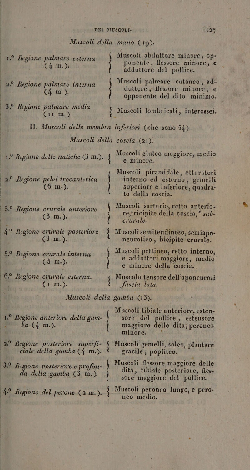 Muscoli della mano (19). Muscoli abduttore minore, op- ponente, flessore minore, e adduttore del pollice. n° Regione palmare esterna (4 m.). Muscoli palmare cutaneo, ad- duttore yflessore minore, e opponente del dito minimo. 2.° Regione palmare interna (4 m.). 3° Regione palmare media j Muscoli lombricali, interossei. (iI m.) 3 II. Muscoli delle membra inferiori (che sono 54). Muscoli della coscia (21). Muscoli gluteo maggiore, medio ° Regi. 4 iche (3 m.). a 1.° Regione delle natiche ( ) STA Muscoli piramidale, otturatori 2.° Regione pelvi trocanterica interno ed esterno, gemelli (6 m.). superiore e inferiore, quadra- - to della coscia. Muscoli sartorio, retto anterio- re,tricinite della coscia, * sub- crurale. 13.0 Regione crurale anteriore | (3 m.). TIVI 4° Regione crurale posteriore 3 Muscoli semitendinoso, semiapo- | (3 m.). neurotico , bicipite crurale. Muscoli pettineo, retto interno, è MIRTO rg wo 5° Regi rurale intern 3 } h pra riegione certi % e adduttori maggiore, medio | (Him: e minore della coscia,. 1 6.° Regione crurale esterna. s Muscolo tensore dell’aponeurosi I (iI m.). fascia lata. Muscoli della gamba (3). i] Muscoli tibiale anteriore, esten- 1.° Regione anteriore della gam- sore del pollice , estensore È dba (4 m.). maggiore delle dita; peroneo A minore. (0) &amp; 7 0n, '” 2° Regione posteriore superfi Muscoli gemelli, soleo, plantare ciale della samba (4 m.). gracile , popliteo, Muscoli flessore maggiore delle dita, tibiale posteriore, fles- a della gamba (3 n.) sore maggiore del pollice. Muscoli peronco lungo, e pero- 13.0 Regione posteriore e profon- O neo medio. 4° Regione del perone (2.m.).