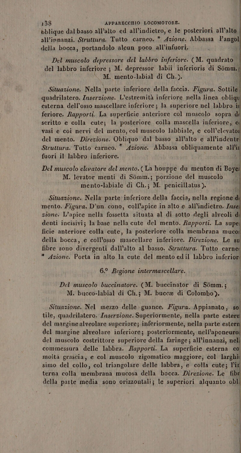 bblique dal basso all’alto ed all’indietro, e le posteriori all’alto all’innanzi, Struttura. Tutto carneo. * Azione. Abbassa l’angol della bocca, portandolo alcun poco all'infuori. | Del muscolo depressore del labbro inferiore. (M. quadrato del labbro inferiore ; ; M. depressor labii inferioris di Simm.; COM. mento- labial di Ch.}. Situazione. Nella \parte inferiore della faccia. Figura. Sottile | quadrilatero. Inserzione. L’estremità inferiore nella linea obliqui esterna dell'osso mascellare inferiore; la superiore nel labbro ir feriore. Rapporti. La superficie anteriore col muscolo sopra di scritto e colla cute; la posteriore colla mascella inferiore, cd vasi e coi nervi del mento, col muscolo labbiale, e coll’elevator del mento. Direzione. Obliquo dal basso all’alto e all’indente Struttura. Tutto carneo. * Azione. Abbassa obliquamente all’ii fuori il labbro inferiore. | Del muscolo elevatore del mento.(La houppe du menton di Boyei M. levator menti di Sòomm.; porzione del muscolo mento-labiale di Ch.; M. penicillatus). Situazione. Nella parte inferiore della faccia, nella regione mento. Figura. D'un. cono, coll’apice in alto e all’indietro. Zrasei zione. L’apice nella fossetta situata al di sotto degli alveoli di denti incisivi; la base nella cute del mento. Rapporti. La supe ficie anteriore colla cute, la posteriore colla membrana muco: della bocca, e coll’osso mascellare inferiore. Direzione. Le su fibre sono divergenti dall’alto al basso. Struttura. Tutto carnel * Azione. Porta in alto la cute del mento edil labbro inferiori 6.° Regione intermascellare. Del muscolo buccinatore. (M. buccinator di Sémm.; M. bucco-labial di Ch.j M. bucce di Colombo). | Situazione. Nel mezzo delle guance, Figura. Appianato, so tile, quadrilatero. Inserzione. Superiormente, nella parte estert del margine alveolare superiore; inferiormente; nella parte ester del margine alveolare inferiore; posteriormente; nell’aponeuro: del muscolo costrittore superiore della faringe; all’innanzi, nell commessura delle labbra. Rapporti. La superficie esterna co, molta grascia, e col muscolo zigomatico maggiore, col larghi: simo del collo, col triangolare delle labbra, e colla cute; l'îr terna colla membrana mucosa della bocca. Direzione. Le fibi della parte media sono orizzontali; le superiori alquanto obli .