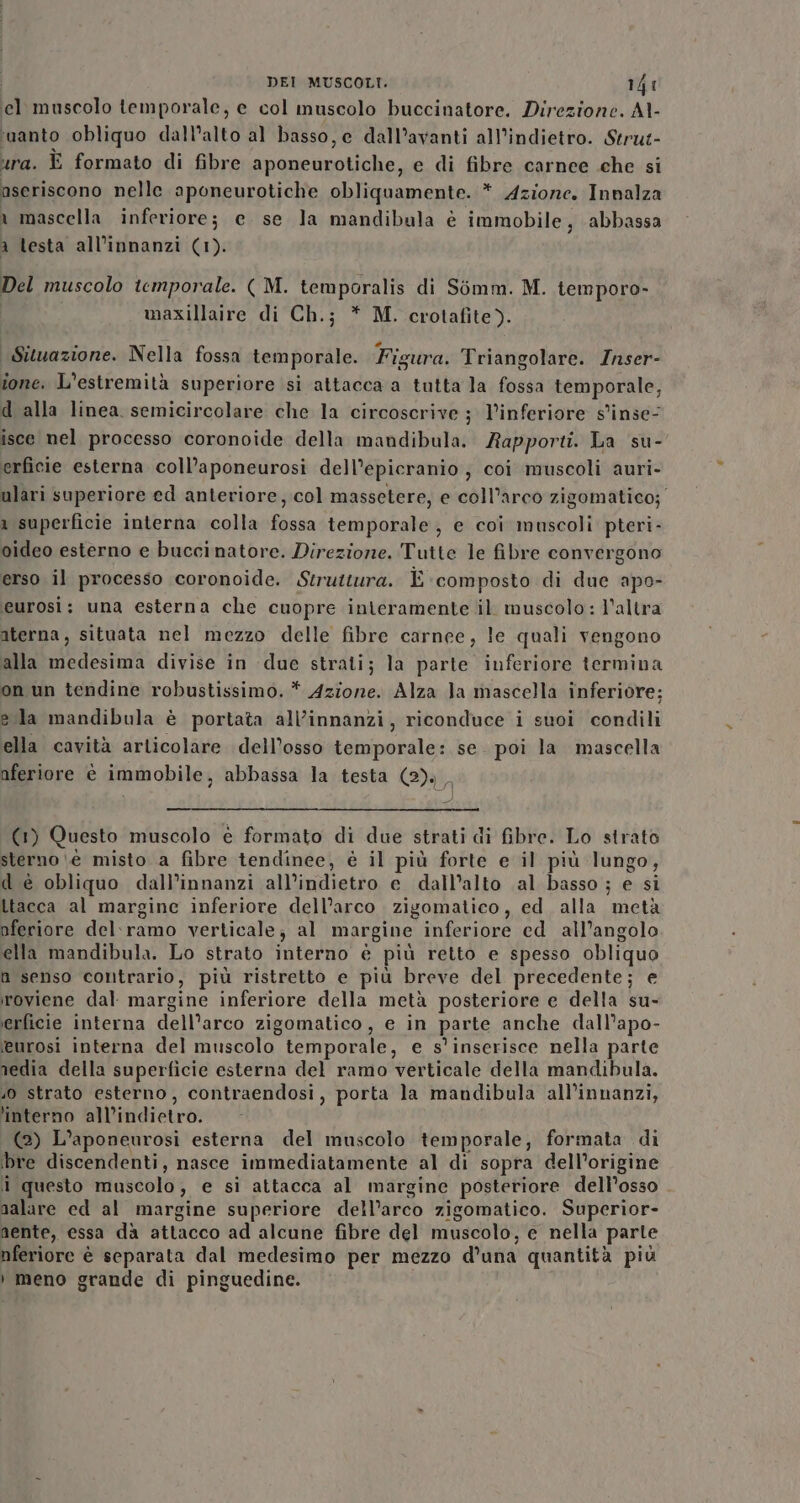 ‘el muscolo temporale, e col muscolo buccinatore. Direzione. AI- ‘vanto obliquo dall'alto al basso, ec dall’avanti all'indietro. Strut- ura. È formato di fibre aponeurotiche, e di fibre carnee che si aseriscono nelle aponeurotiche obliquamente. * Azione. Innalza a mascella inferiore; e. se la mandibula è immobile, abbassa a testa all’innanzi (1). Del muscolo temporale. ( M. temporalis di Simm. M. temporo- I maxillaire di Ch.; * M. crotafite). Situazione. Nella fossa temporale. Figura. Triangolare. Znser- ione. L’estremità superiore si attacca a tutta la fossa temporale, d alla linea. semicircolare che la circoscrive ; l’inferiore s'inse- isce nel processo coronoide della mandibula. Rapporti. La su- erficie esterna coll’aponeurosi dell’epicranio, coi muscoli auri- ulari superiore ed anteriore, col massetere, e coll’arco zigomatico;” a superficie interna colla fossa temporale, e coi muscoli pteri- oideo esterno e buccinatore. Direzione. Tutte le fibre convergono erso il processo coronoide. Struttura. È composto di due apo- euros; una esterna che cuopre interamente il muscolo: l’altra aterna, situata nel mezzo delle fibre carnee, le quali vengono alla medesima divise in due strati; la parte inferiore termina on un tendine robustissimo. * Azione. Alza la mascella inferiore; e la mandibula è portata all’innanzi, riconduce i suoi condili ella cavità articolare dell’osso temporale: se poi la mascella nferiore è immobile, abbassa la testa (2), (1) Questo muscolo e formato di due strati di fibre. Lo strato sterno \è misto a fibre tendinee, è il più forte e il più lungo, d è obliquo dall’innanzi all’indietro e dall’alto al basso ; e si ltacca al margine inferiore dell’arco zigomatico, ed. alla metà oferiore del:ramo verticale; al margine inferiore ed all’angolo ella mandibula. Lo strato interno è più retto e spesso obliquo a senso contrario, più ristretto e più breve del precedente; e roviene dal. margine inferiore della metà posteriore e della su- erficie interna dell’arco zigomatico , e in parte anche dall’apo- (eurosi interna del muscolo temporale, e s'inserisce nella parte nedia della superficie esterna del ramo verticale della mandibula. .0 strato esterno, contraendosi, porta la mandibula all’innanzi, ‘interno all’indietro. (2) L’aponeurosi esterna del muscolo temporale, formata di bre discendenti, nasce immediatamente al di sopra dell’origine i questo muscolo, e si attacca al margine posteriore dell’osso . nalare ed al margine superiore dell’arco zigomatico. Superior- nente, essa da attacco ad alcune fibre del muscolo, e nella parte nferiore è separata dal medesimo per mezzo d'una quantità più » meno grande di pinguedine.