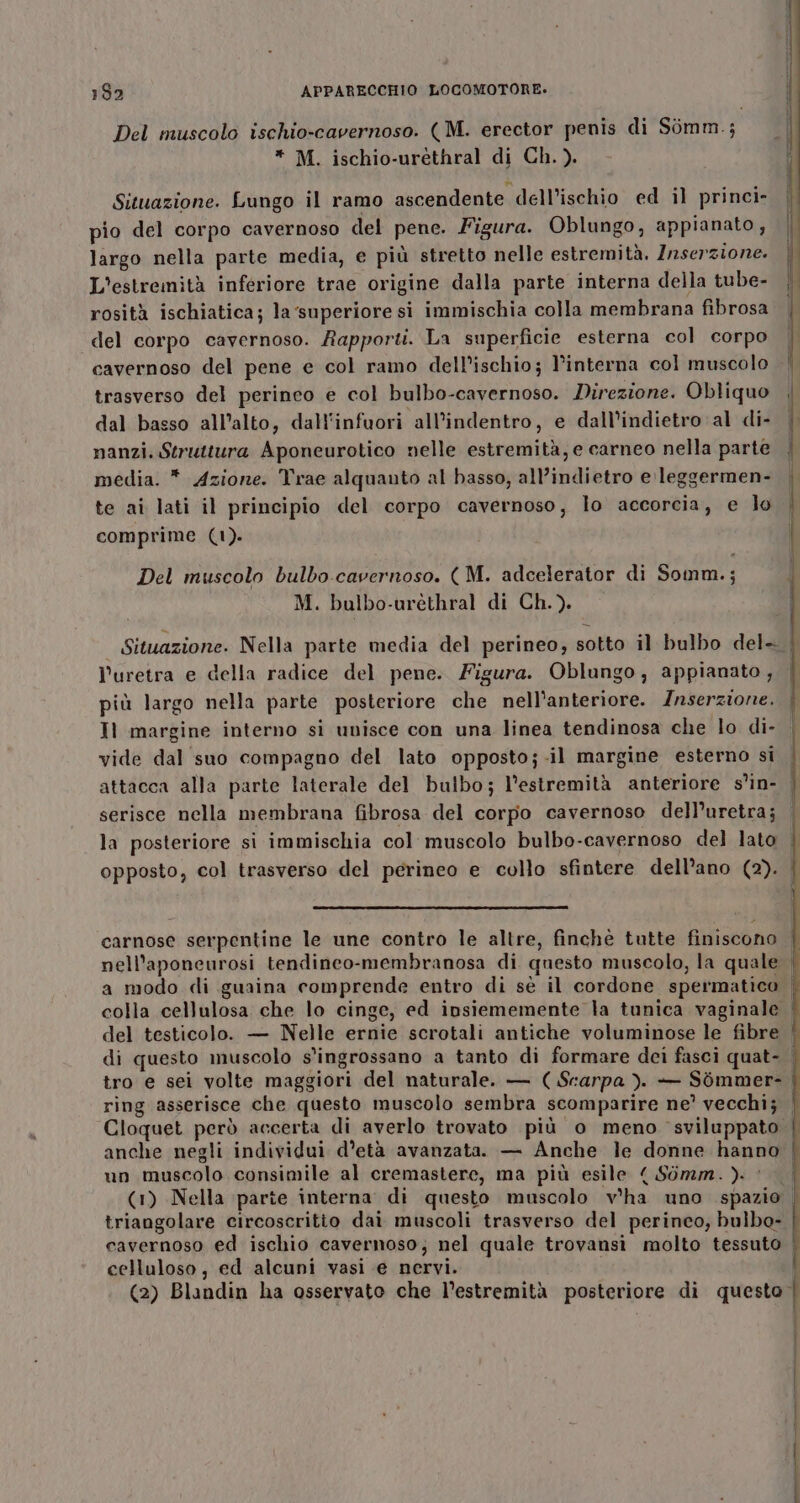 Del muscolo ischio-cavernoso. (M. erector penis di Simm.; * M. ischio-uréthral di Ch.). Situazione. Lungo il ramo ascendente dell’ischio ed il princi- pio del corpo cavernoso del pene. Figura. Oblungo, appianato, largo nella parte media, e più stretto nelle estremità. Zrserzione. L'estremità inferiore trae origine dalla parte interna della tube- rosità ischiatica; la ‘superiore si immischia colla membrana fibrosa del corpo cavernoso. Rapporti. La superficie esterna col corpo cavernoso del pene e col ramo dell’ischio; l’interna col muscolo trasverso del perineo e col bulbo-cavernoso. Direzione. Obliquo dal basso all’alto, dall'infuori all’indentro, e dall’indietro al di- nanzi. Struttura Aponeurotico nelle estremità, e carneo nella parte media. * Azione. Trae alquanto al basso; all’indietro e leggermen- te ai lati il principio del corpo cavernoso, lo accorcia, e lo comprime (1). Del muscolo bulbo.cavernoso. (M. adcelerator di Somm.; M. bulbo-uréthral di Ch.). Puretra e della radice del pene. Figura. Oblungo, appianato, più largo nella parte posteriore che nell'anteriore. Inserzione. Il margine interno si unisce con una linea tendinosa che lo di- vide dal suo compagno del lato opposto;-il margine esterno si serisce nella membrana fibrosa del corpo cavernoso dell’uretra; carnose serpentine le une contro le altre, finchè tutte finiscono ring asserisce che questo muscolo sembra scomparire ne’ vecchi; anche negli individui d’età avanzata. — Anche le donne hanno un muscolo consimile al cremastere, ma più esile 4 Somm. ). . triangolare circoscritio dai muscoli trasverso del perineo, bulbo- cavernoso ed ischio cavernoso; nel quale trovansi molto tessuto celluloso, ed alcuni vasi e nervi.