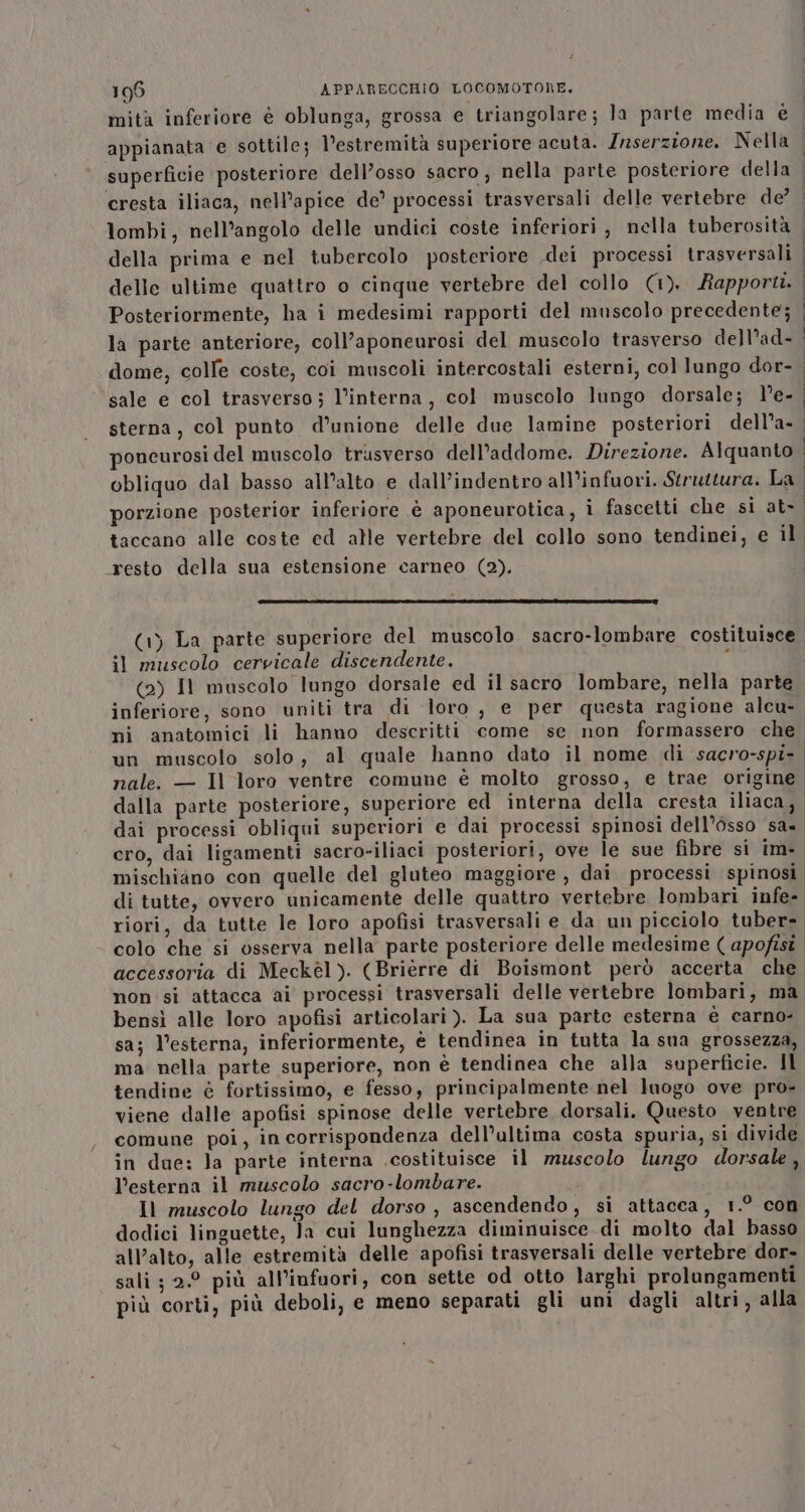 mità inferiore è oblunga, grossa e triangolare; la parte media é della prima e nel tubercolo posteriore .dei processi trasversali delle ultime quattro o cinque vertebre del collo (1). Rapport. la parte anteriore, coll’aponeurosi del muscolo trasverso dell’ad- dome, colle coste, coi muscoli intercostali esterni, col lungo dor- sale e col trasverso ; l’interna, col muscolo lungo dorsale; l’e- resto della sua estensione carneo (2). (1) La parte superiore del muscolo sacro-lombare costituisce il muscolo cervicale discendente, ° (2) Il muscolo lungo dorsale ed il sacro lombare, nella parte inferiore, sono uniti tra di loro, e per questa ragione alcu- nale. — Il loro ventre comune è molto grosso, e trae origine dai processi obliqui superiori e dai processi spinosi dell’osso sa» cro, dai ligamenti sacro-iliaci posteriori, ove le sue fibre si im- mischiano con quelle del gluteo maggiore, dai. processi spinosi colo che si osserva nella parte posteriore delle medesime ( apofisi bensì alle loro apofisi articolari ). La sua parte esterna è carno- sa; l'esterna, inferiormente, è tendinea in tutta la sua grossezza, ma nella parte superiore, non è tendinea che alla superficie. Il tendine è fortissimo, e fesso, principalmente nel luogo ove pro- viene dalle apofisi spinose delle vertebre, dorsali. Questo ventre comune poi, in corrispondenza dell’ultima costa spuria, si divide in due: la parte interna costituisce il muscolo lungo dorsale, l’esterna il muscolo sacro-lombare. Il muscolo lungo del dorso , ascendendo, si attacca, 1.° con dodici linguette, Ja cui lunghezza diminuisce di molto dal basso sali ; 2.0 più all'infuori, con sette od otto larghi prolungamenti più corti, più deboli, e meno separati gli uni dagli altri, alla